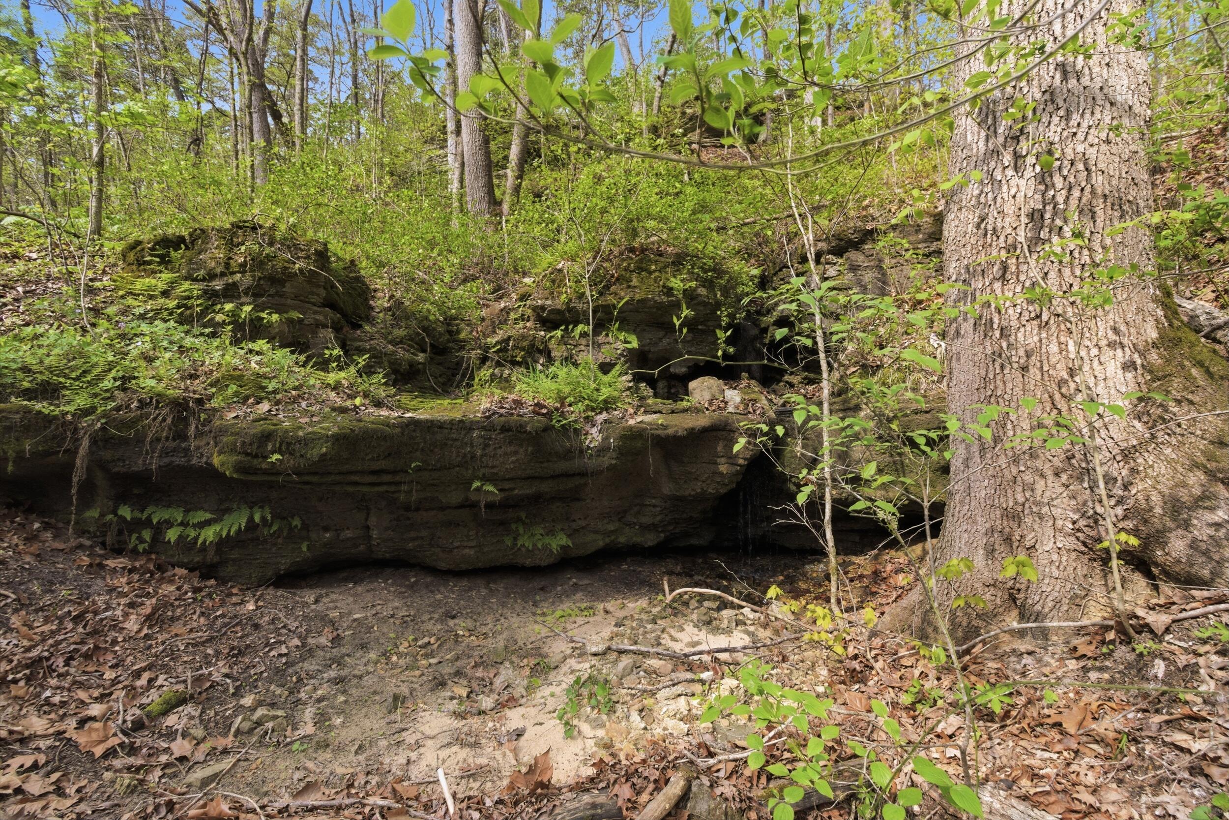 Photo 21 - Land for sale – 000  Highway 32   Licking, MO