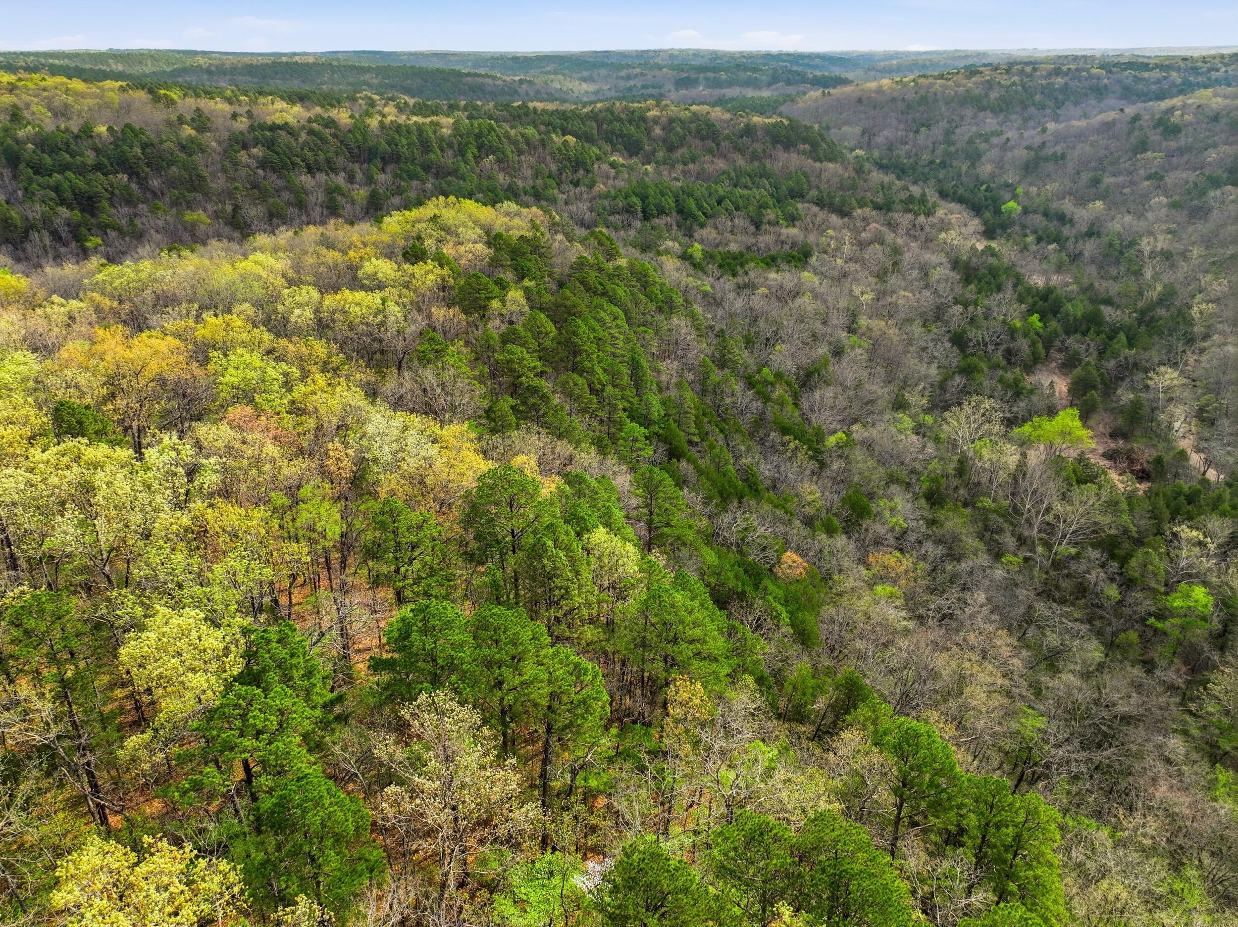 Photo 49 - Land for sale – 000  Highway 32   Licking, MO