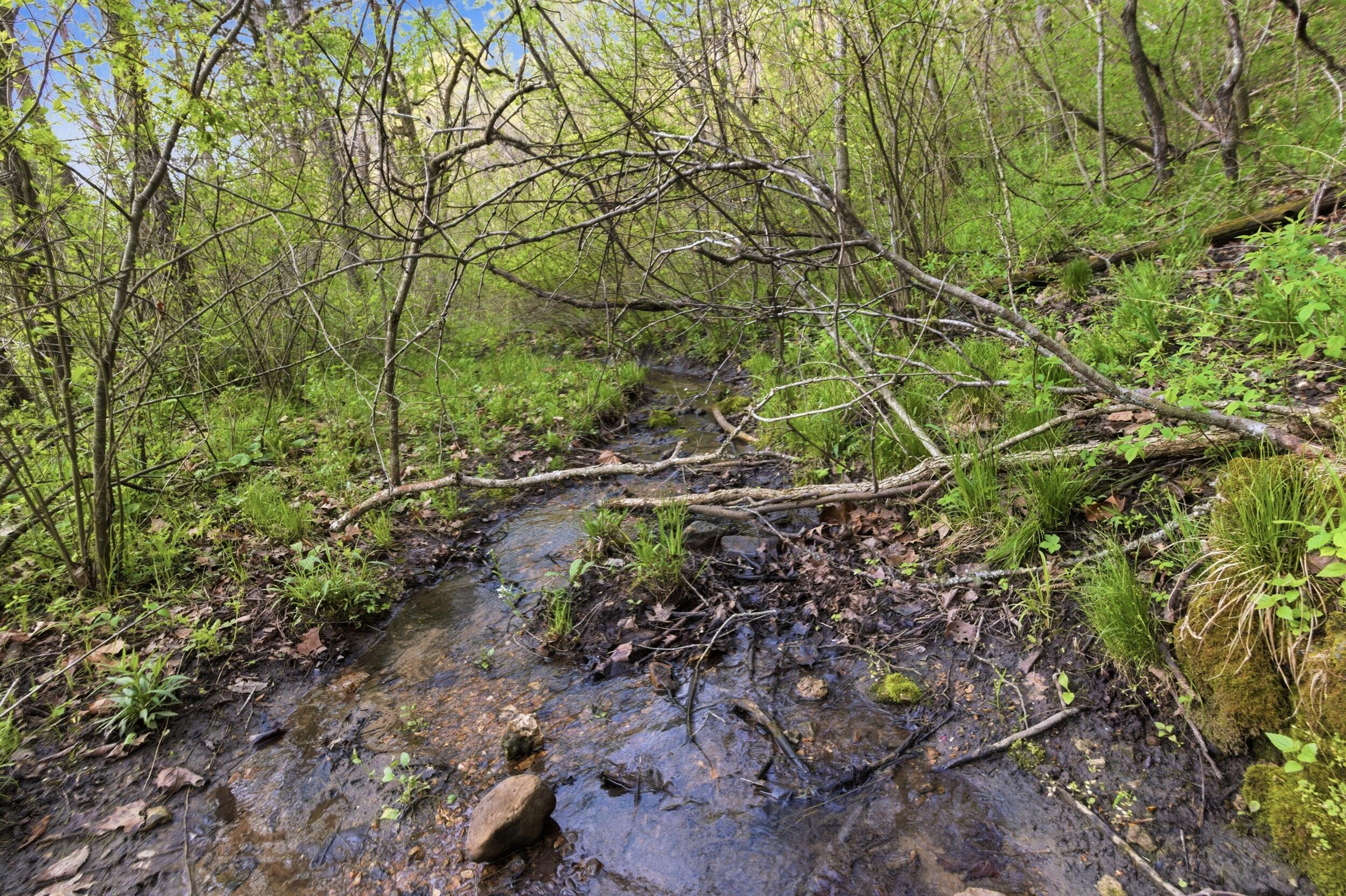 Photo 65 - Land for sale – 000  Highway 32   Licking, MO