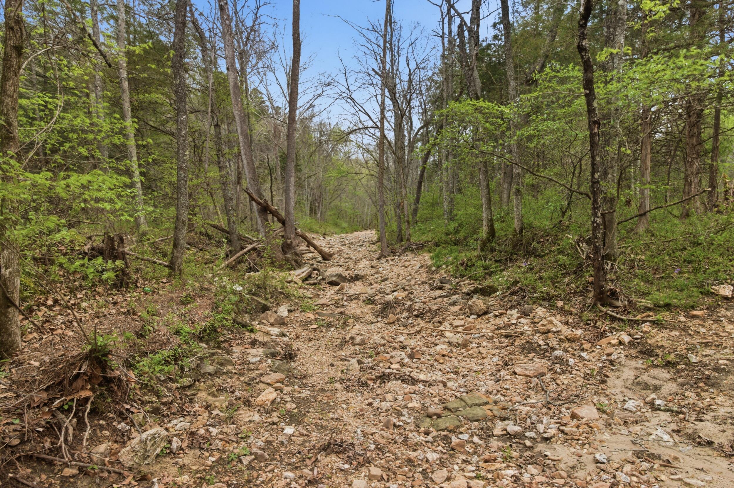Photo 86 - Land for sale – 000  Highway 32   Licking, MO