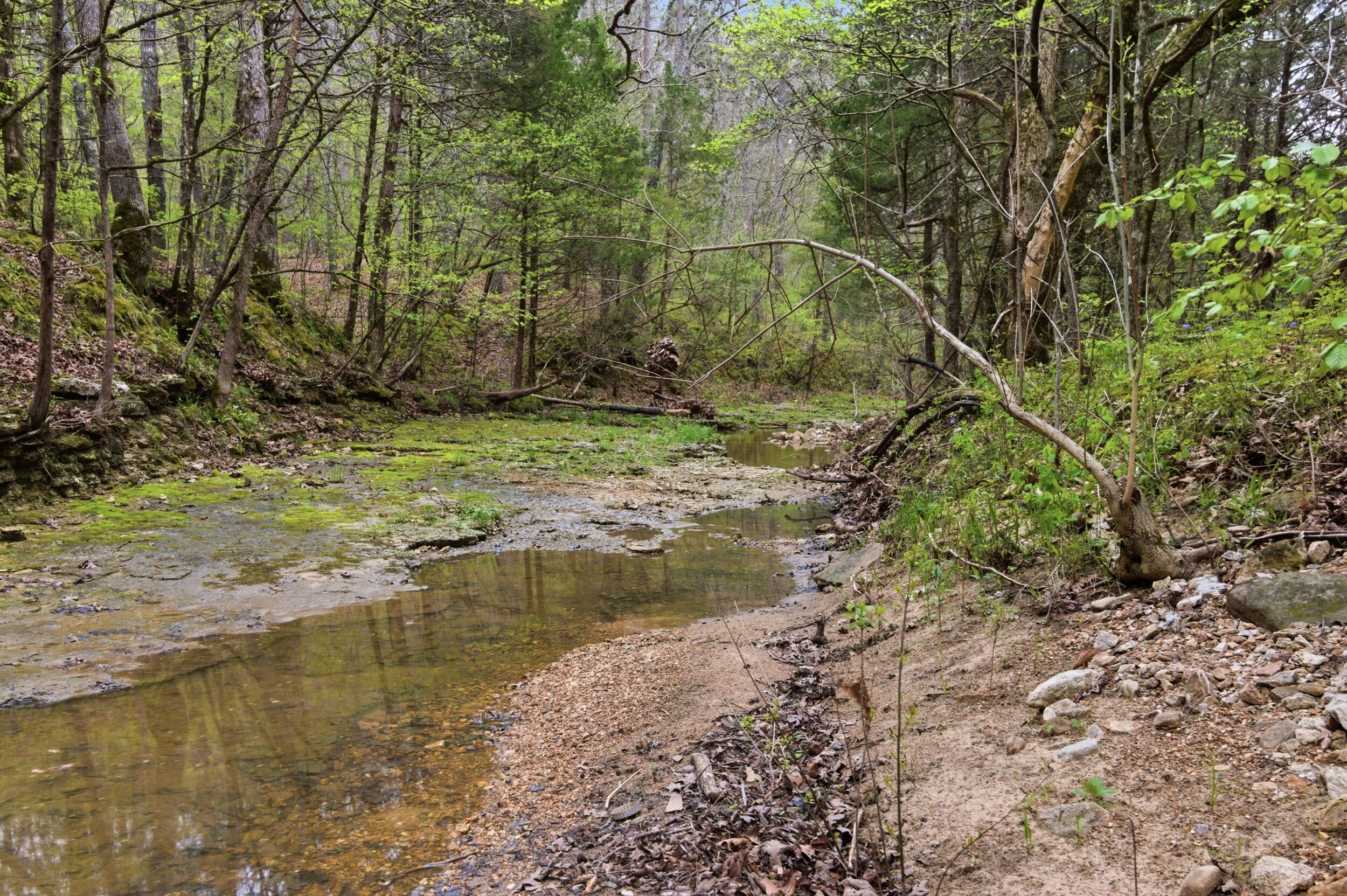 Land for sale – 000  Highway 32   Licking, MO