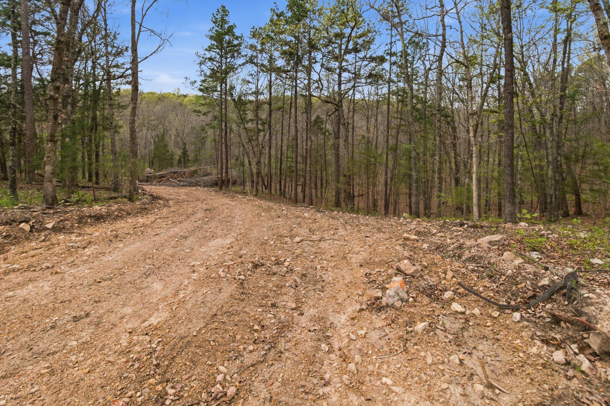 Photo 91 - Land for sale – 000  Highway 32   Licking, MO