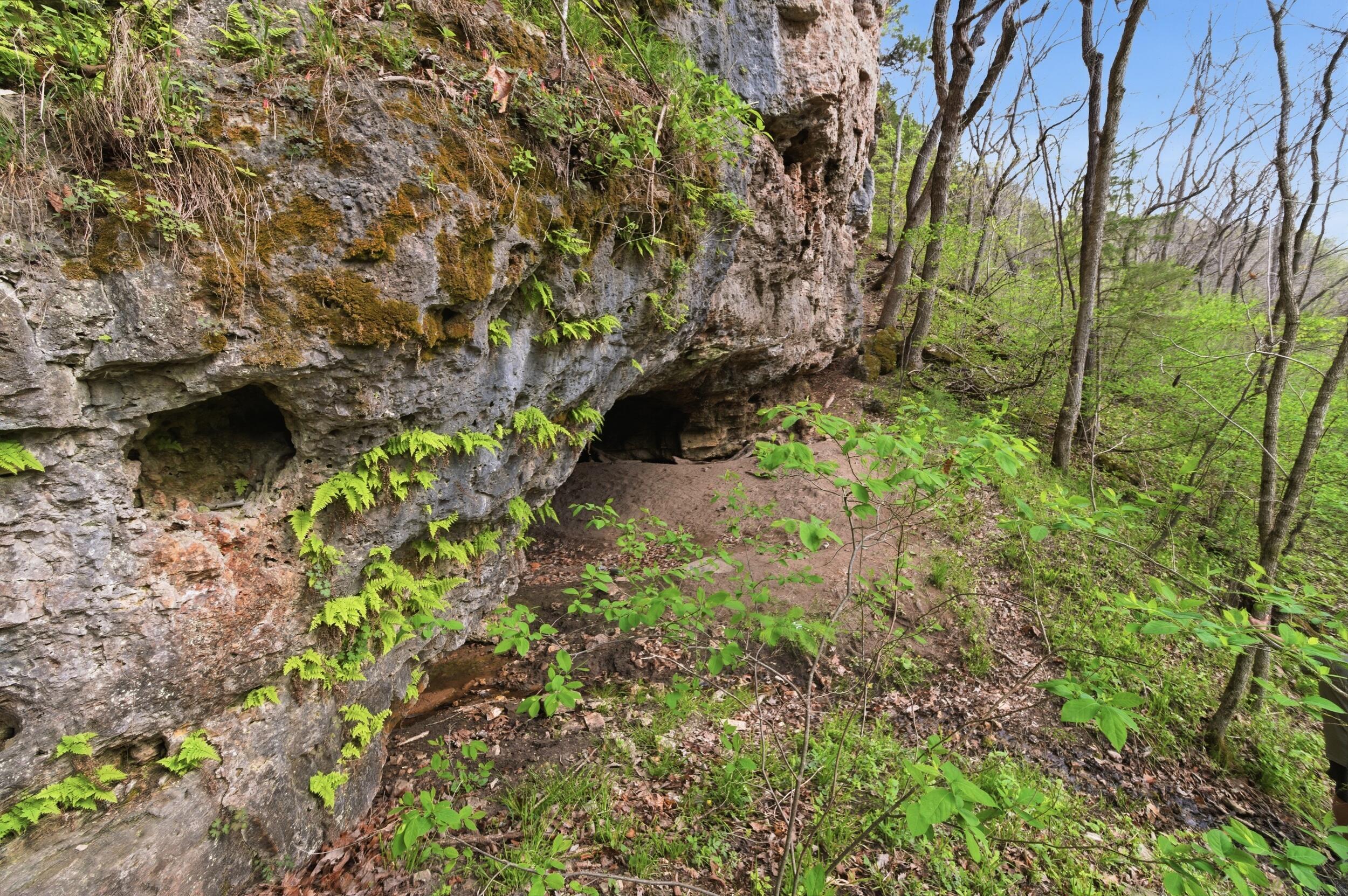 Photo 53 - Land for sale – 000  Highway 32   Licking, MO