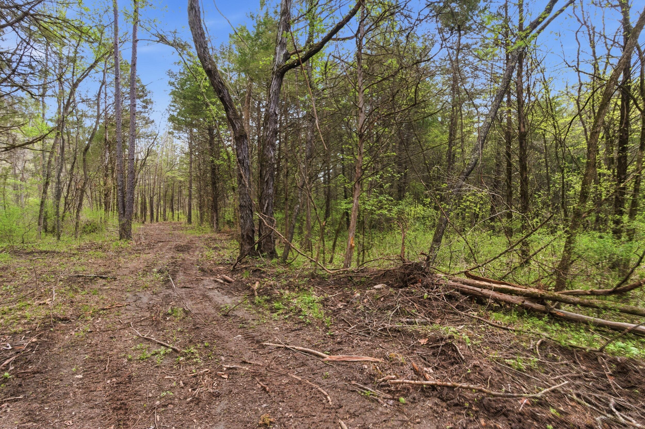Photo 68 - Land for sale – 000  Highway 32   Licking, MO