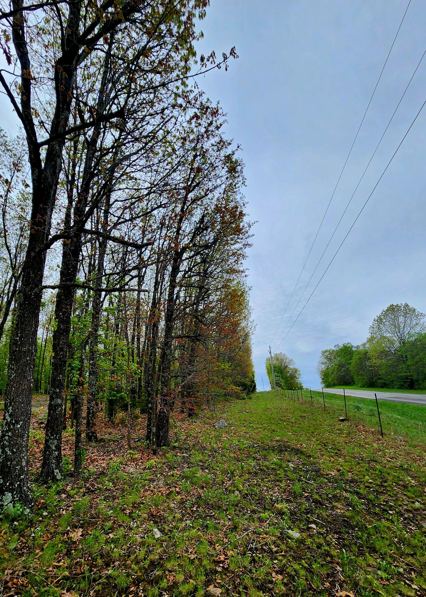 Photo 5 - Land for sale – 000  State Highway O   Ava, MO