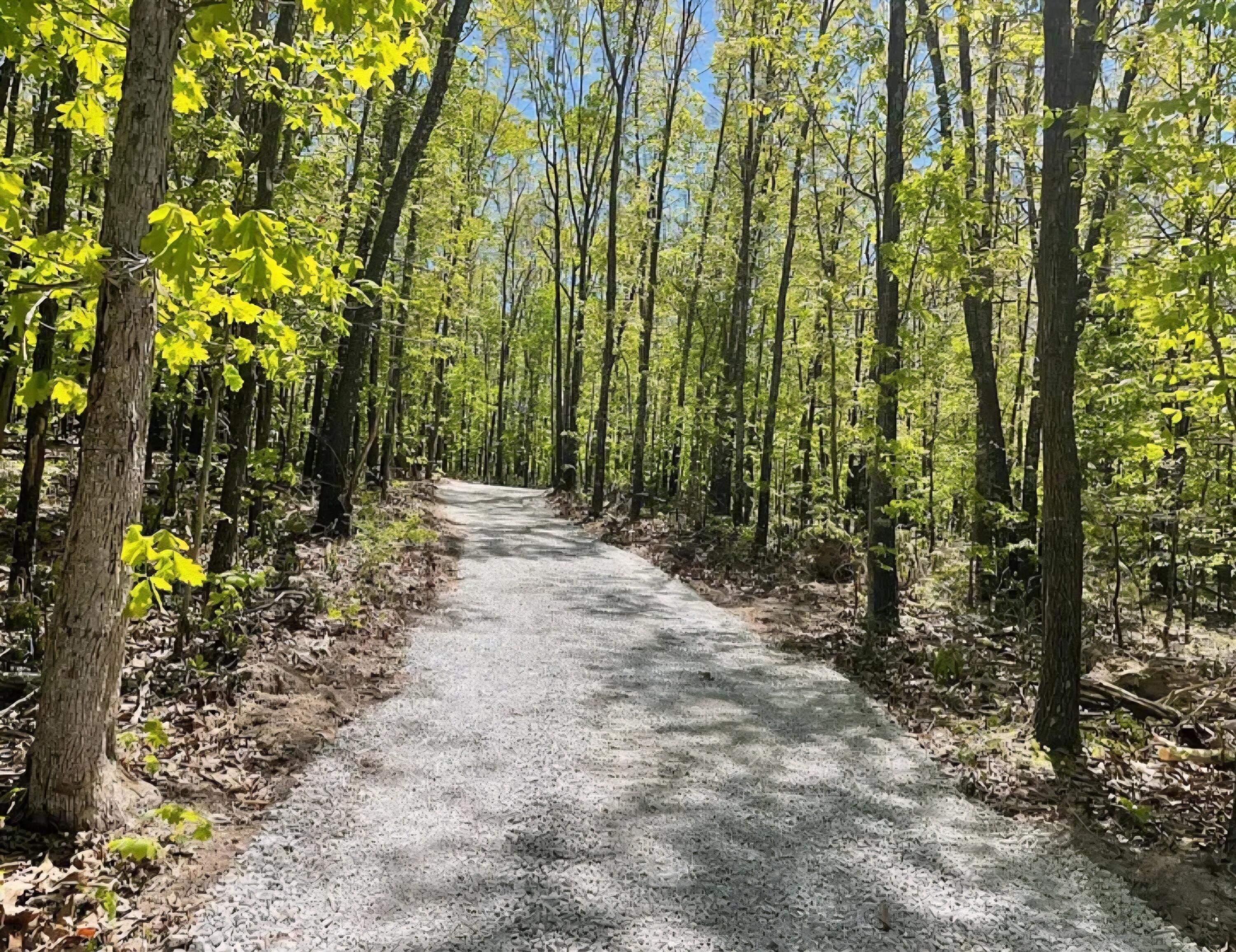 Photo 4 - Land for sale – 000  State Highway O   Ava, MO
