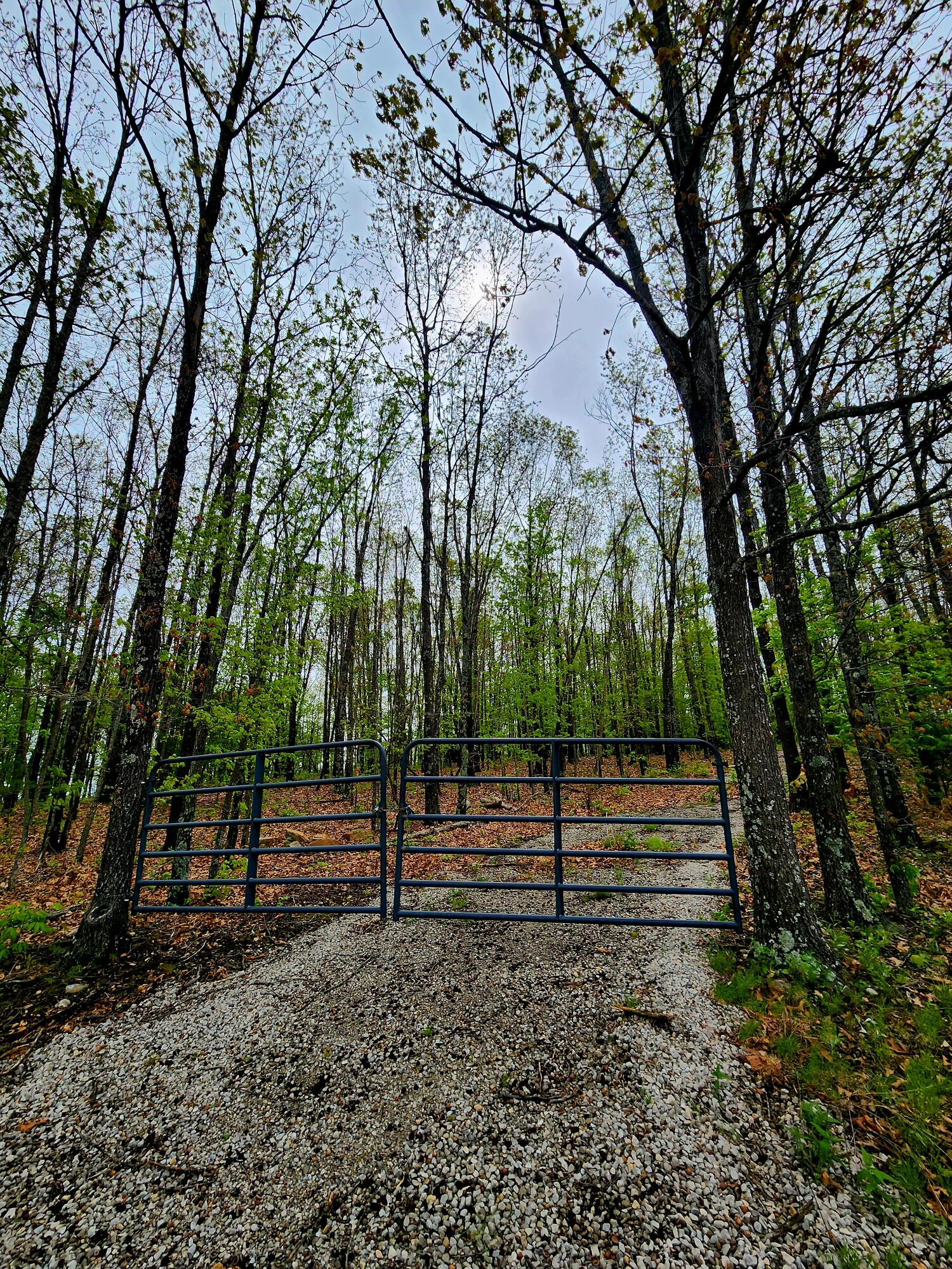 Land for sale – 000  State Highway O   Ava, MO