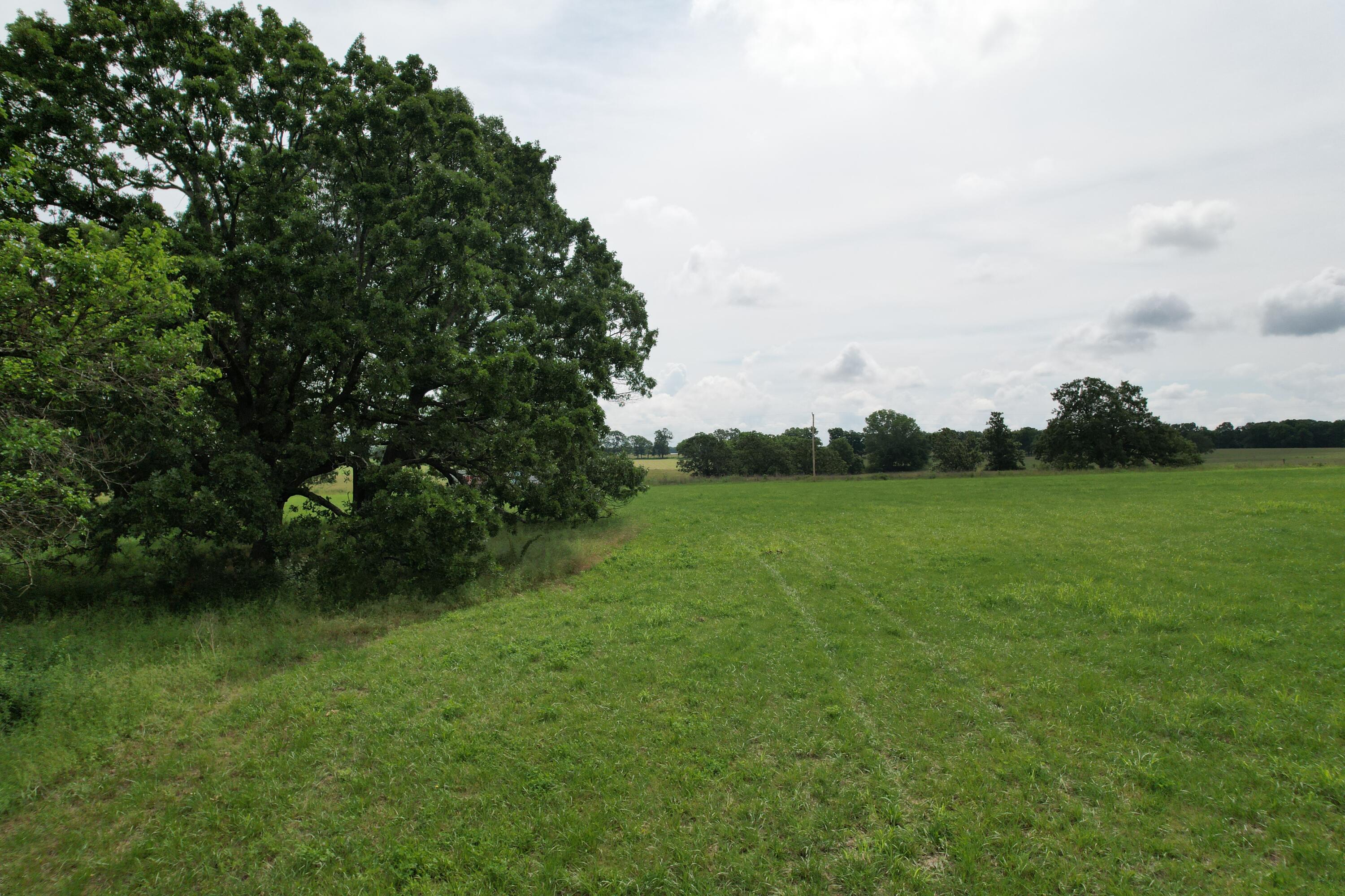 Photo 24 - Land for sale – Tract 1  0000 Private Road 1184   Aurora, MO
