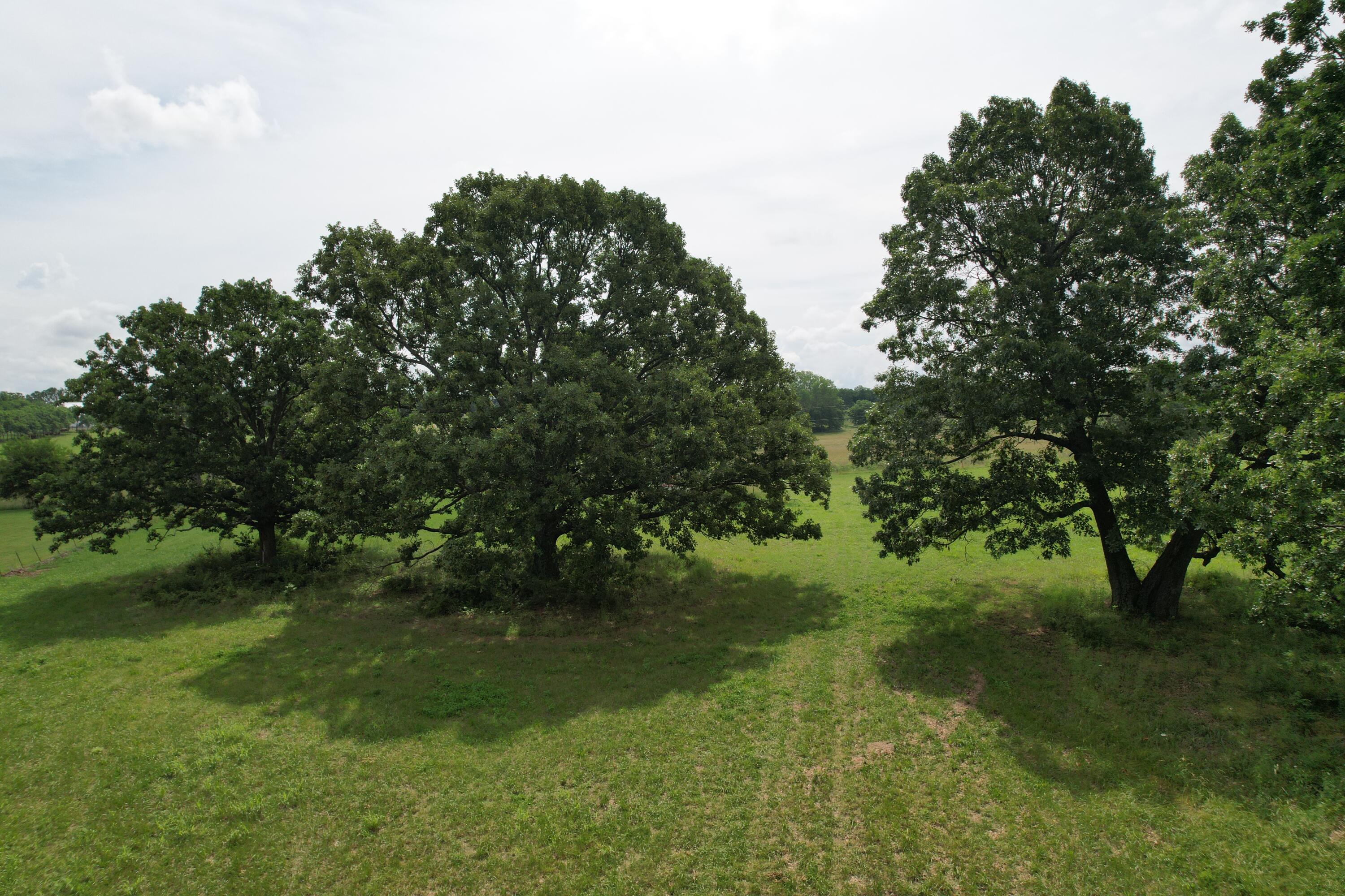Photo 20 - Land for sale – Tract 1  0000 Private Road 1184   Aurora, MO