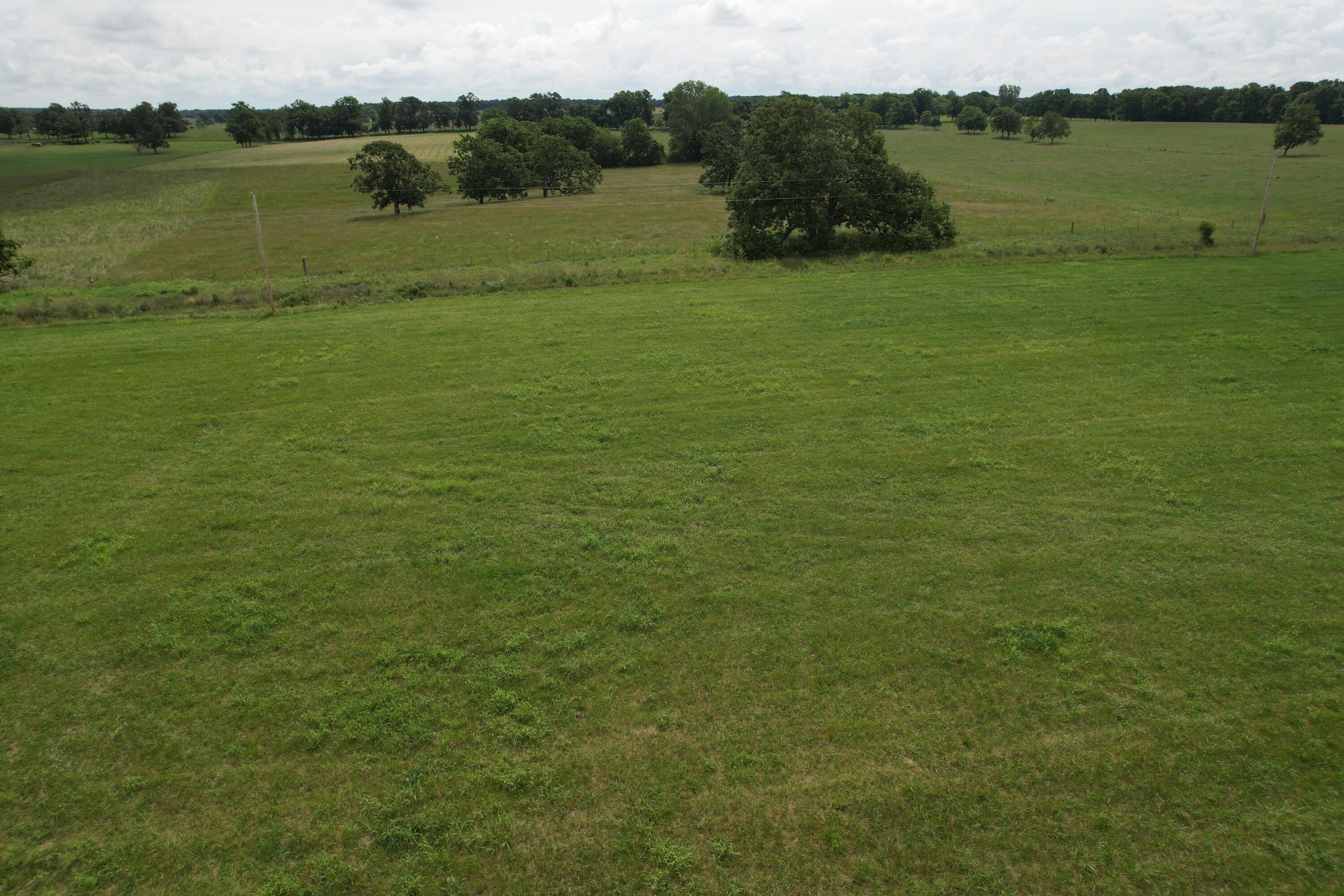 Photo 13 - Land for sale – Tract 1  0000 Private Road 1184   Aurora, MO