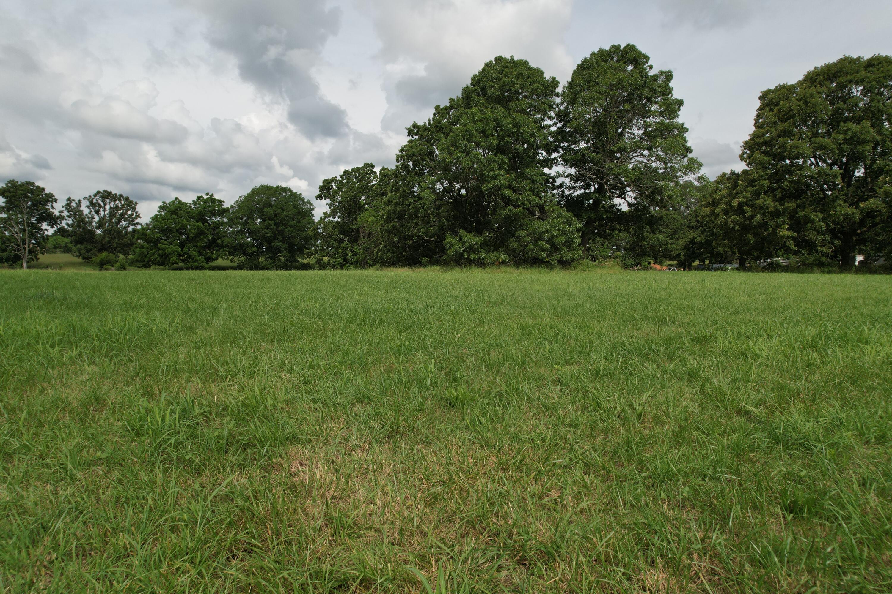 Photo 31 - Land for sale – Tract 1  0000 Private Road 1184   Aurora, MO