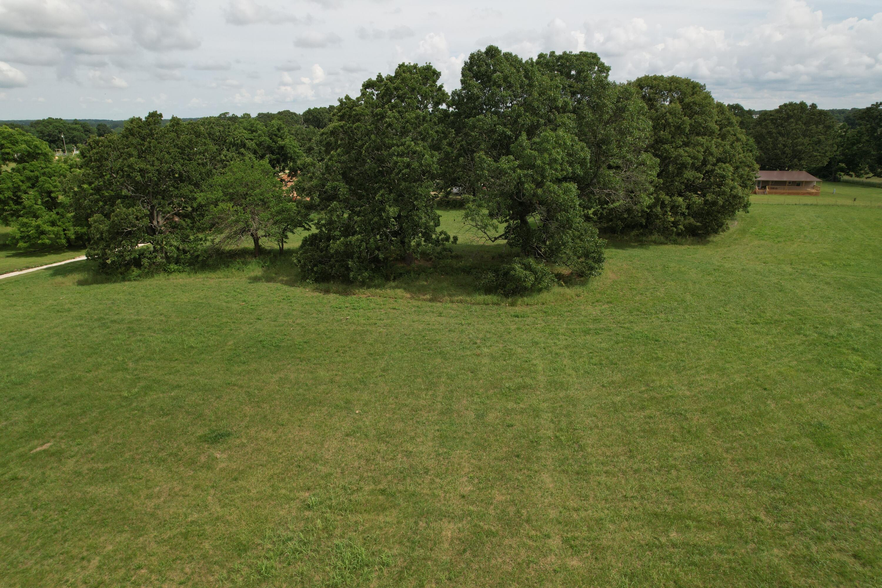 Photo 12 - Land for sale – Tract 1  0000 Private Road 1184   Aurora, MO