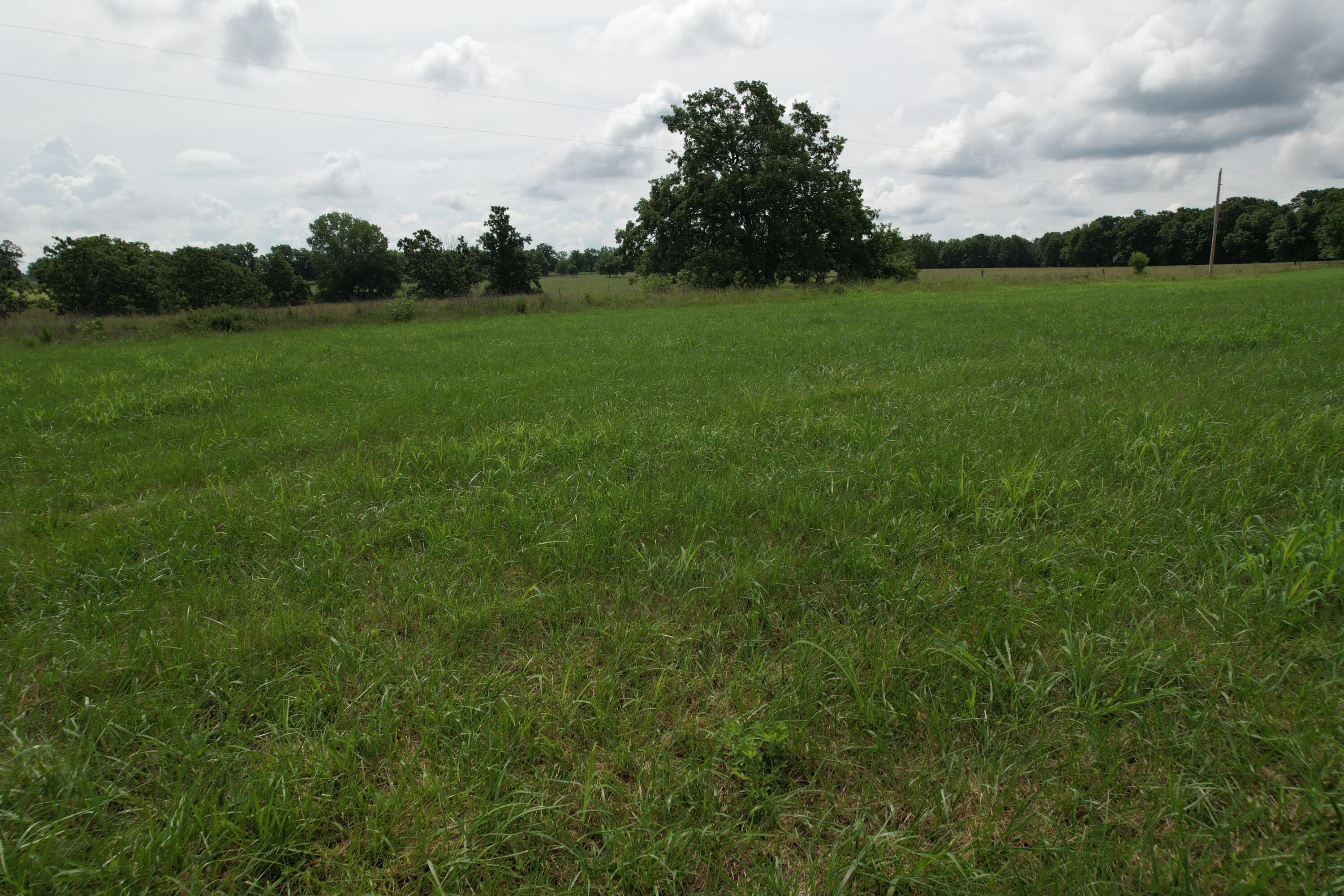 Photo 32 - Land for sale – Tract 1  0000 Private Road 1184   Aurora, MO