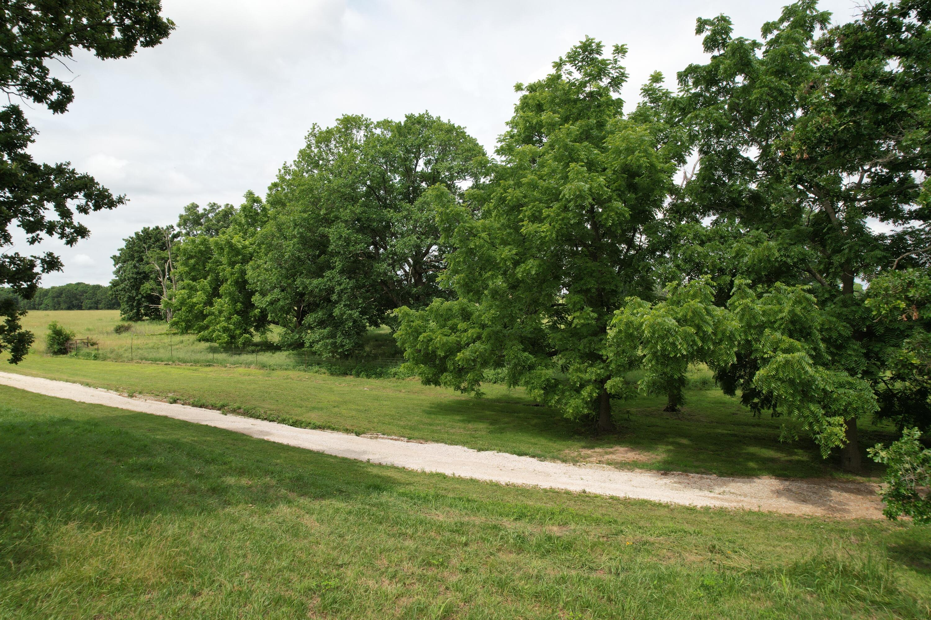 Photo 22 - Land for sale – Tract 1  0000 Private Road 1184   Aurora, MO