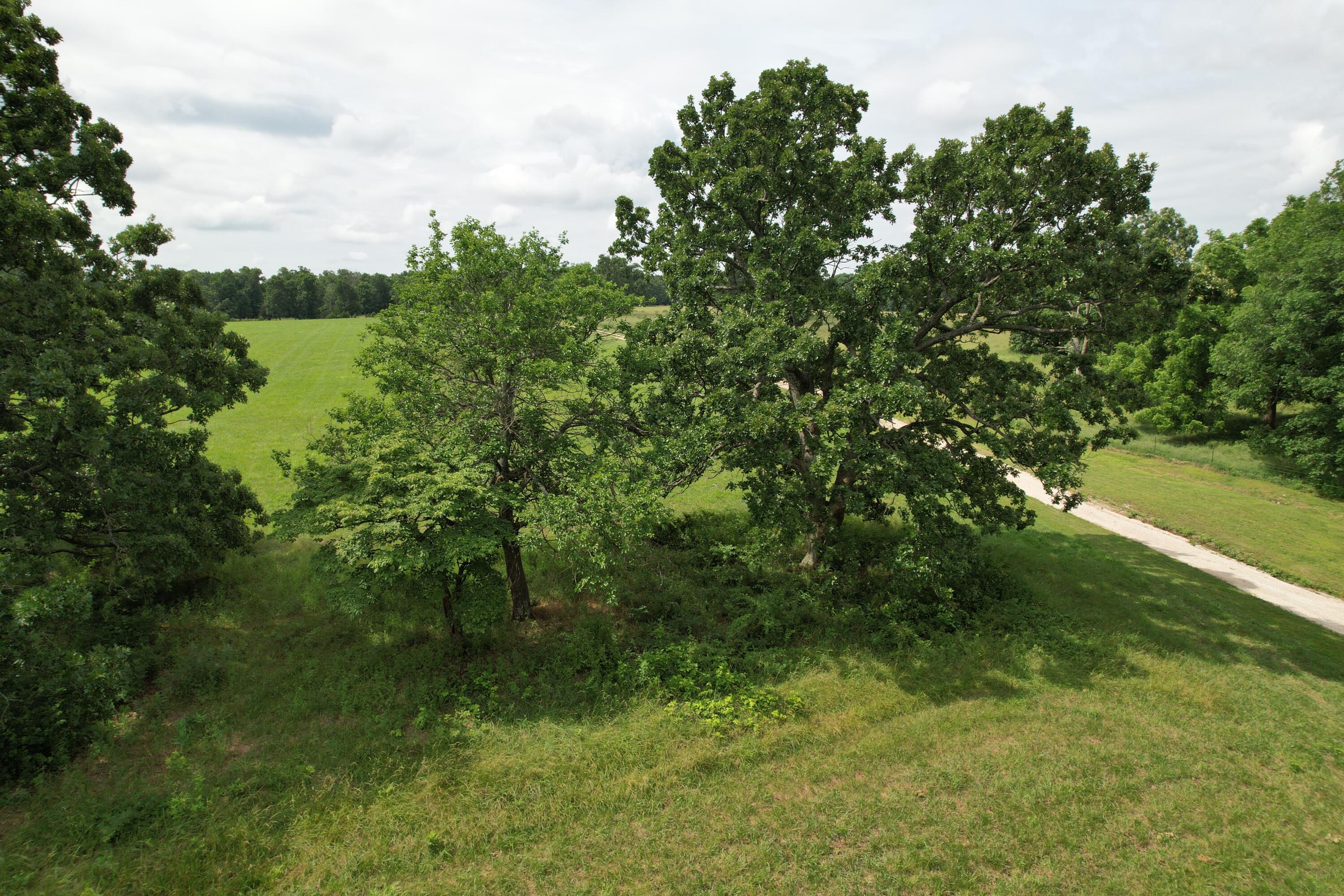 Photo 18 - Land for sale – Tract 1  0000 Private Road 1184   Aurora, MO