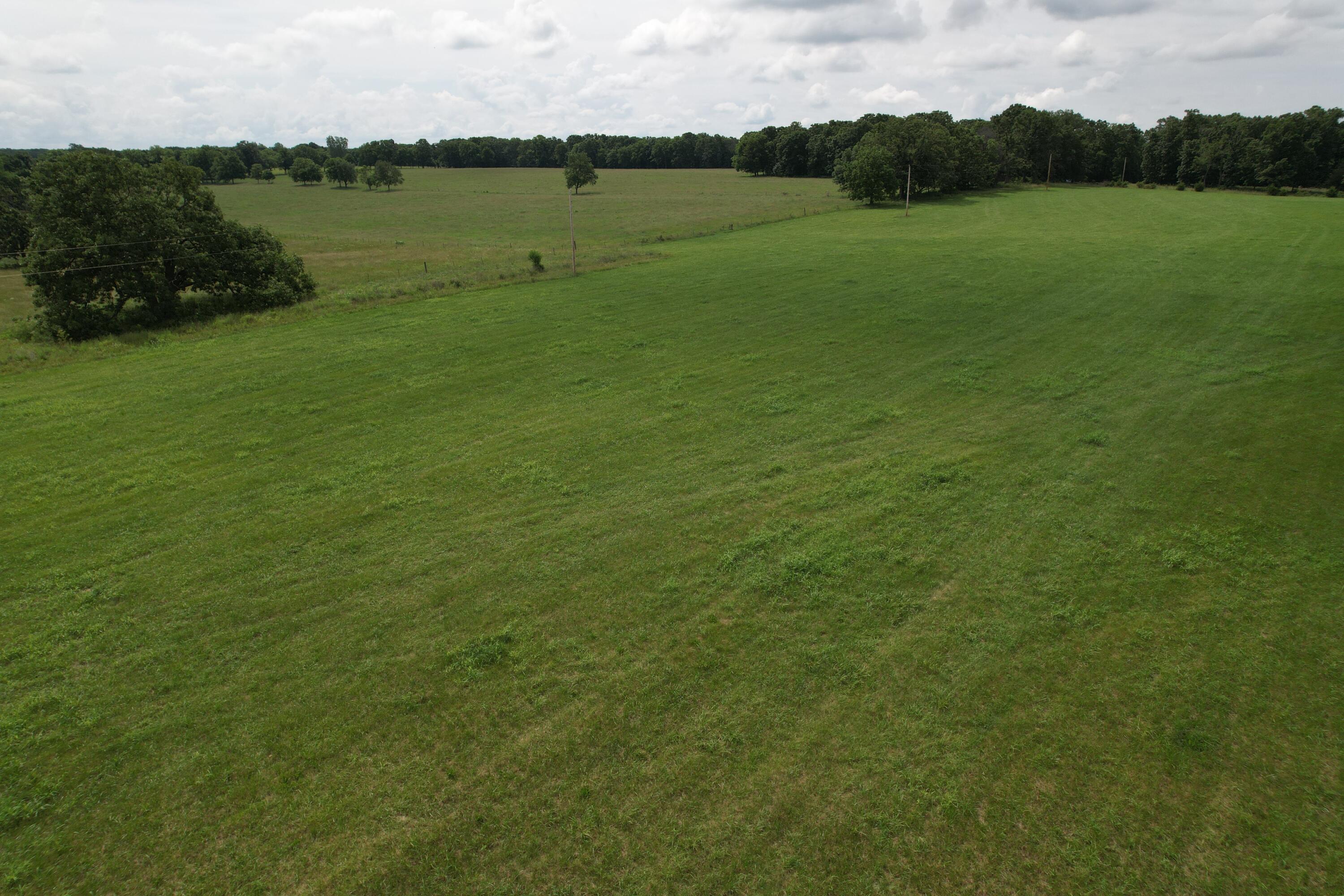 Photo 14 - Land for sale – Tract 1  0000 Private Road 1184   Aurora, MO