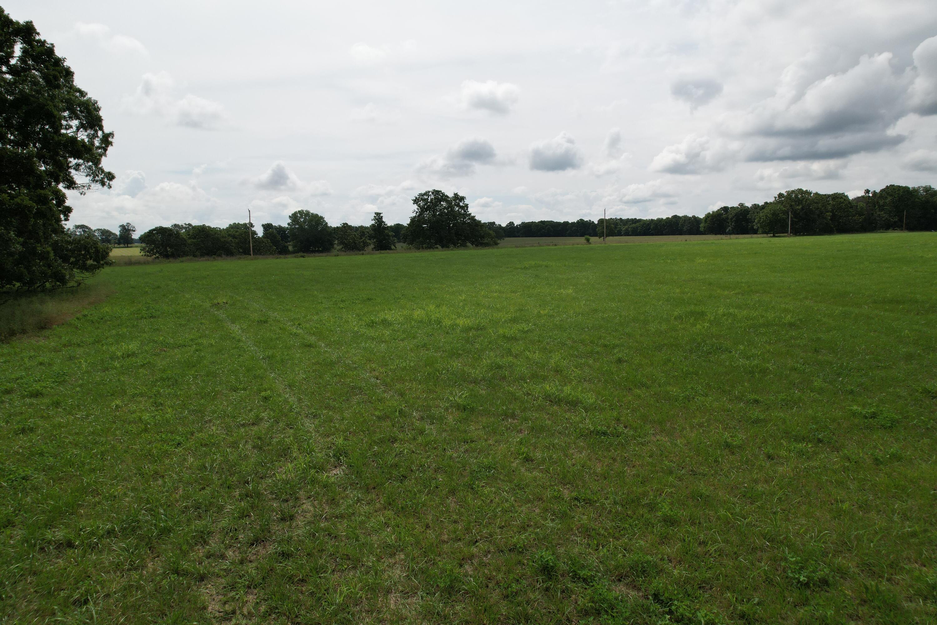 Photo 25 - Land for sale – Tract 1  0000 Private Road 1184   Aurora, MO