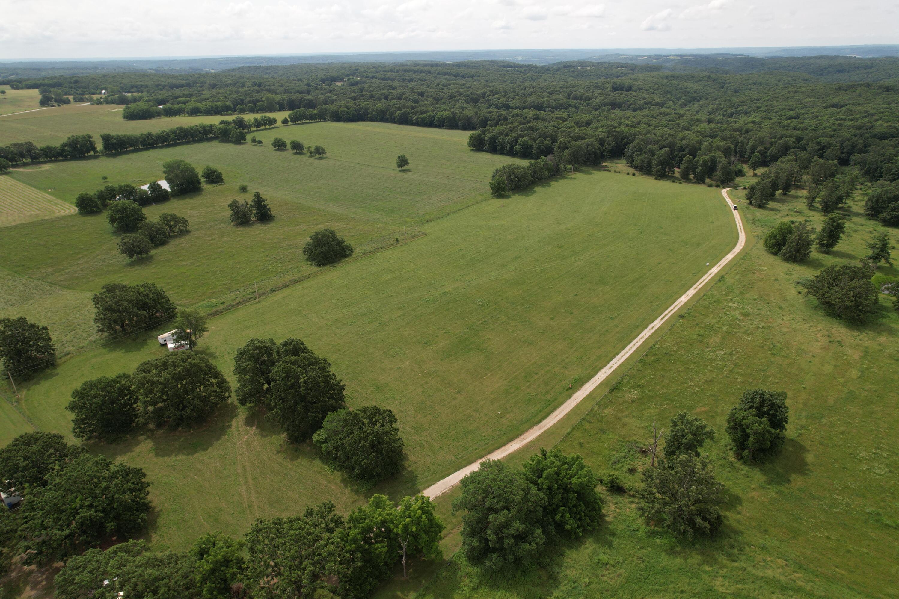 Photo 3 - Land for sale – Tract 1  0000 Private Road 1184   Aurora, MO