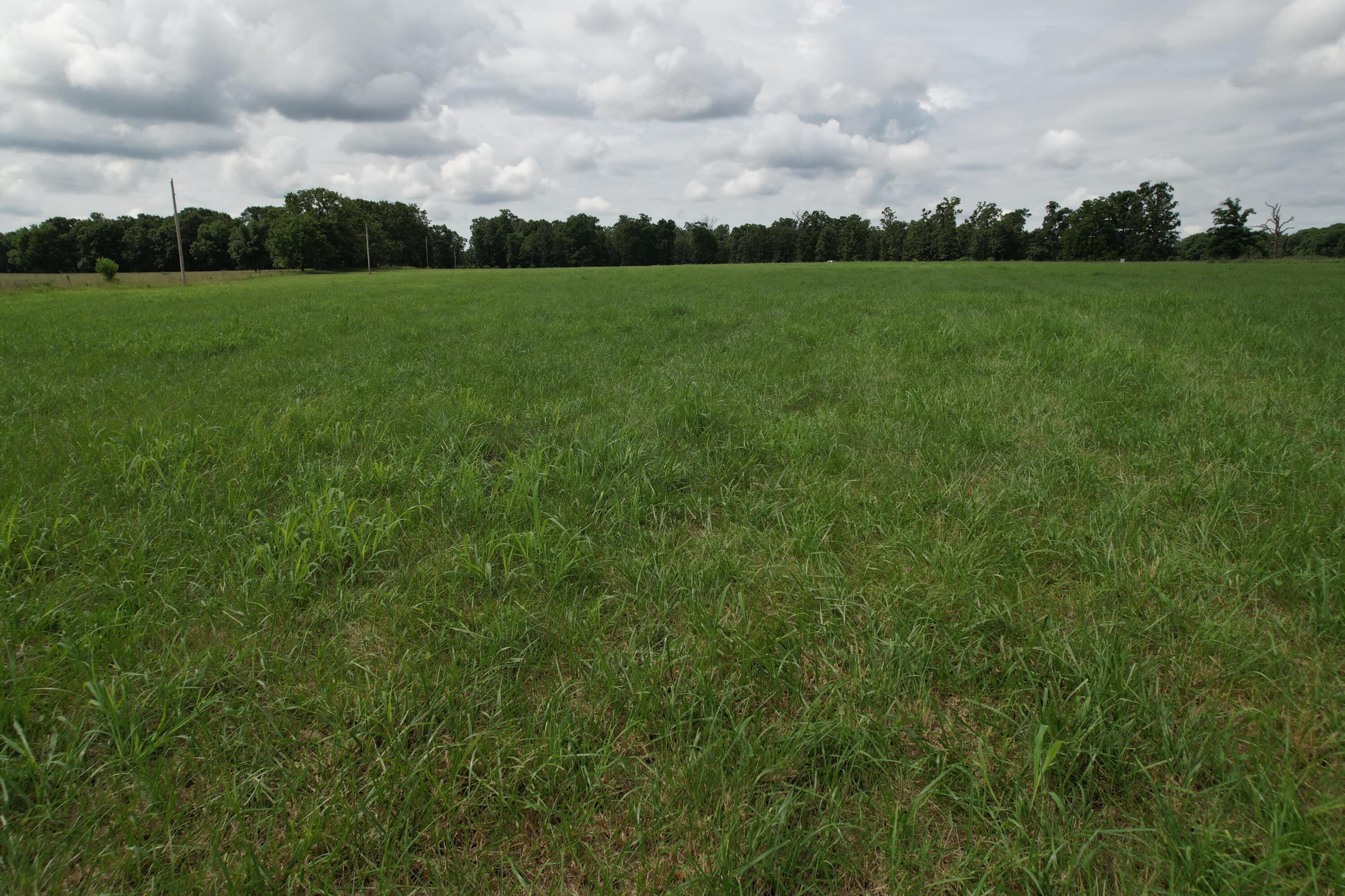 Photo 33 - Land for sale – Tract 1  0000 Private Road 1184   Aurora, MO