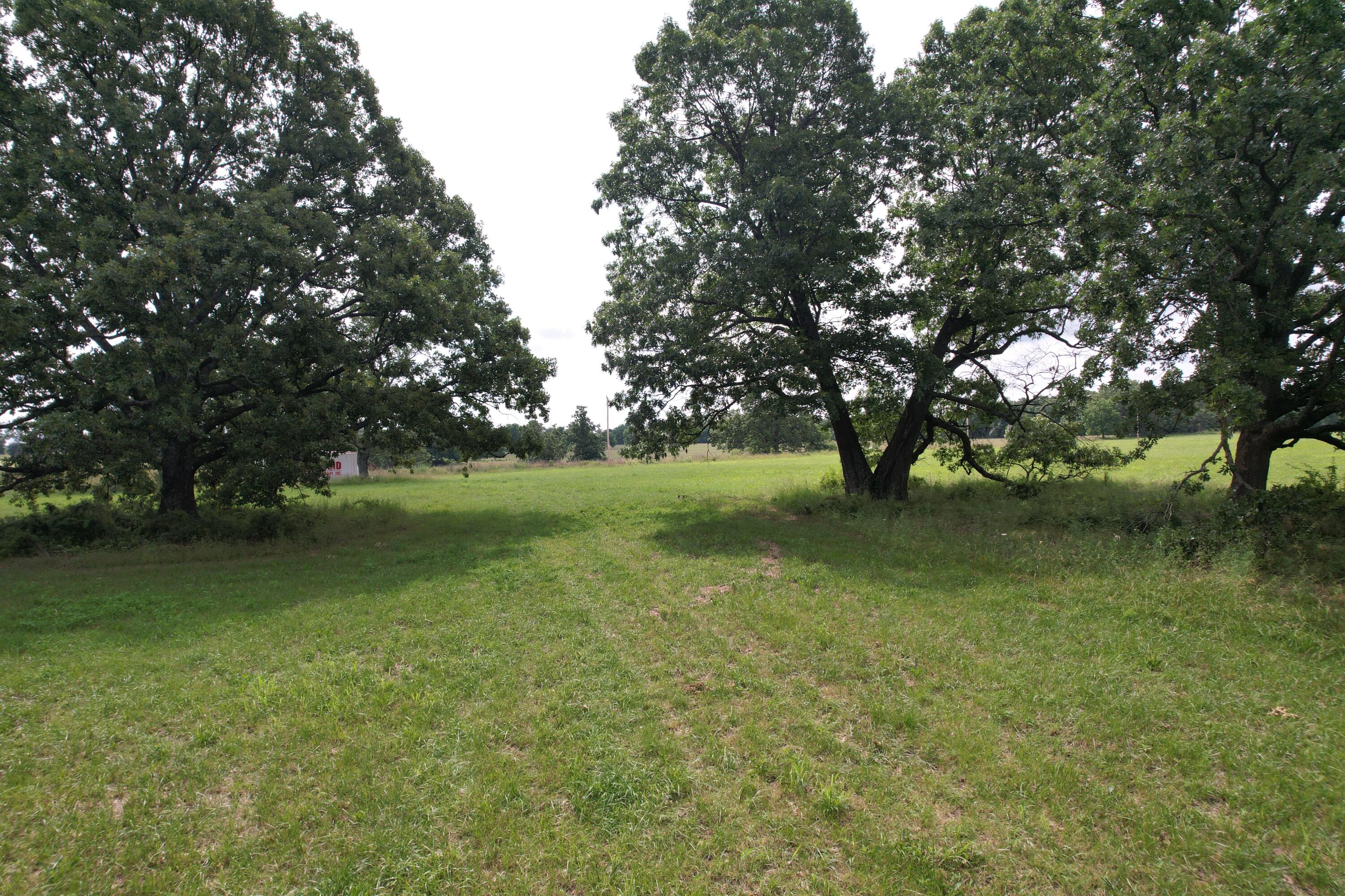 Photo 21 - Land for sale – Tract 1  0000 Private Road 1184   Aurora, MO