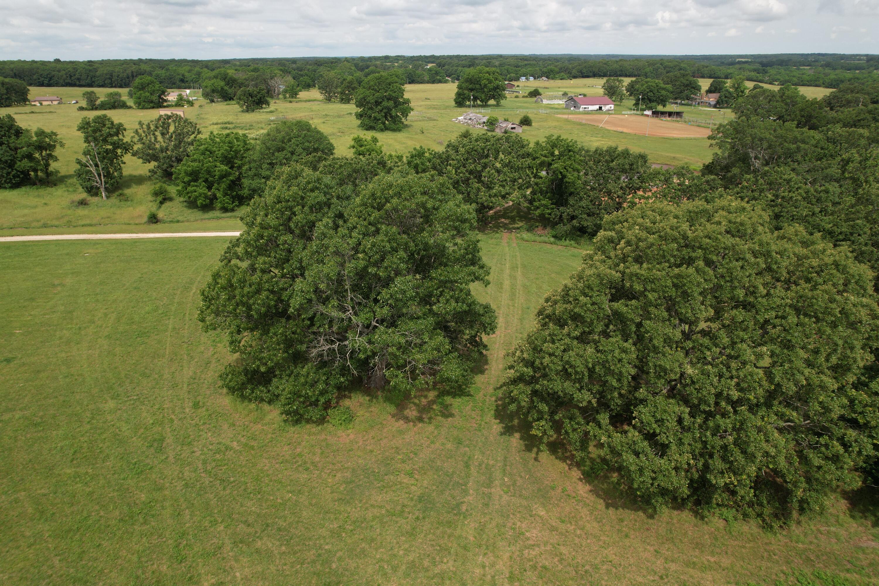 Photo 11 - Land for sale – Tract 1  0000 Private Road 1184   Aurora, MO