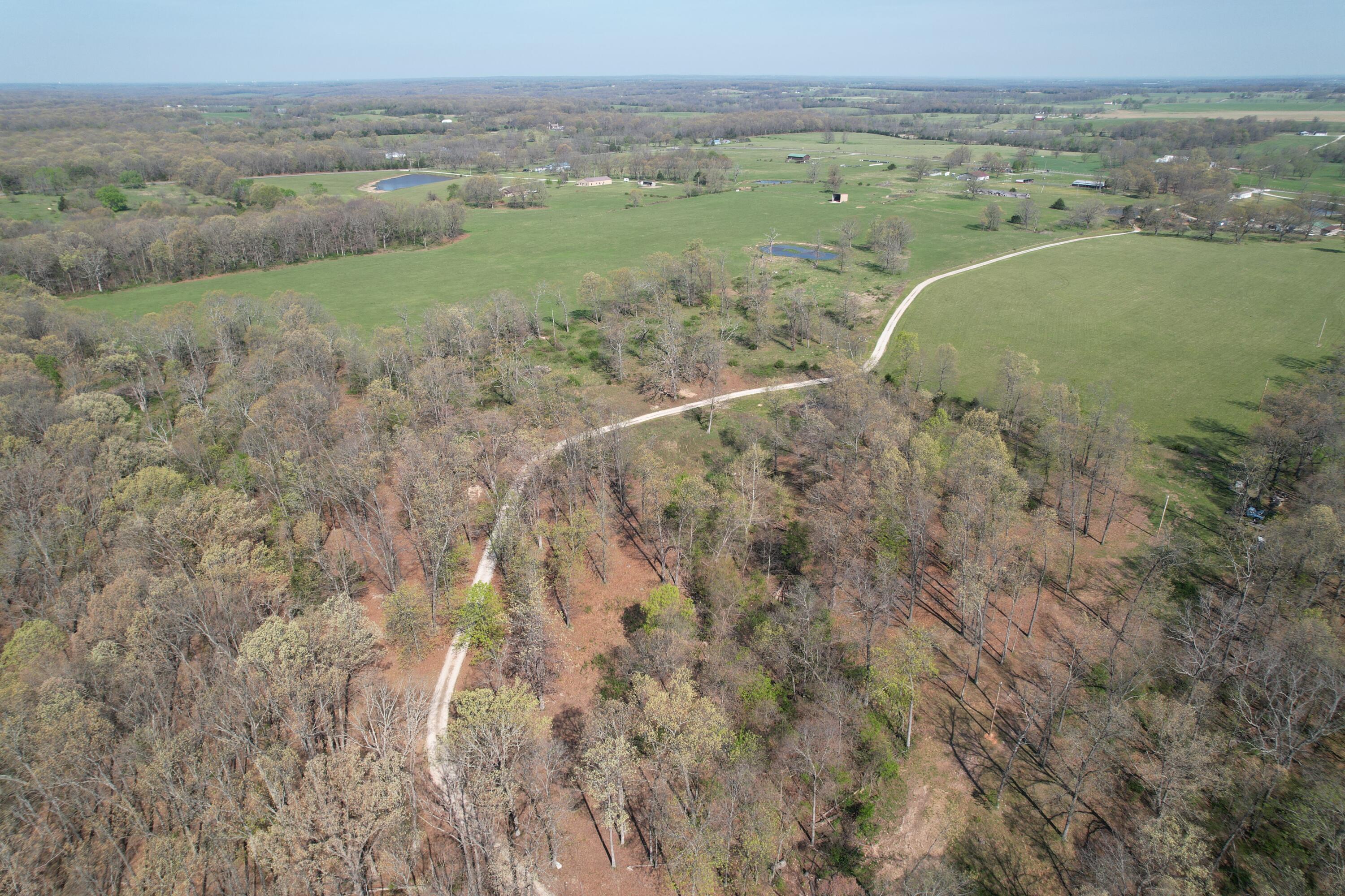 Photo 5 - Land for sale – Tract 4  0000 Private Road 1184   Aurora, MO