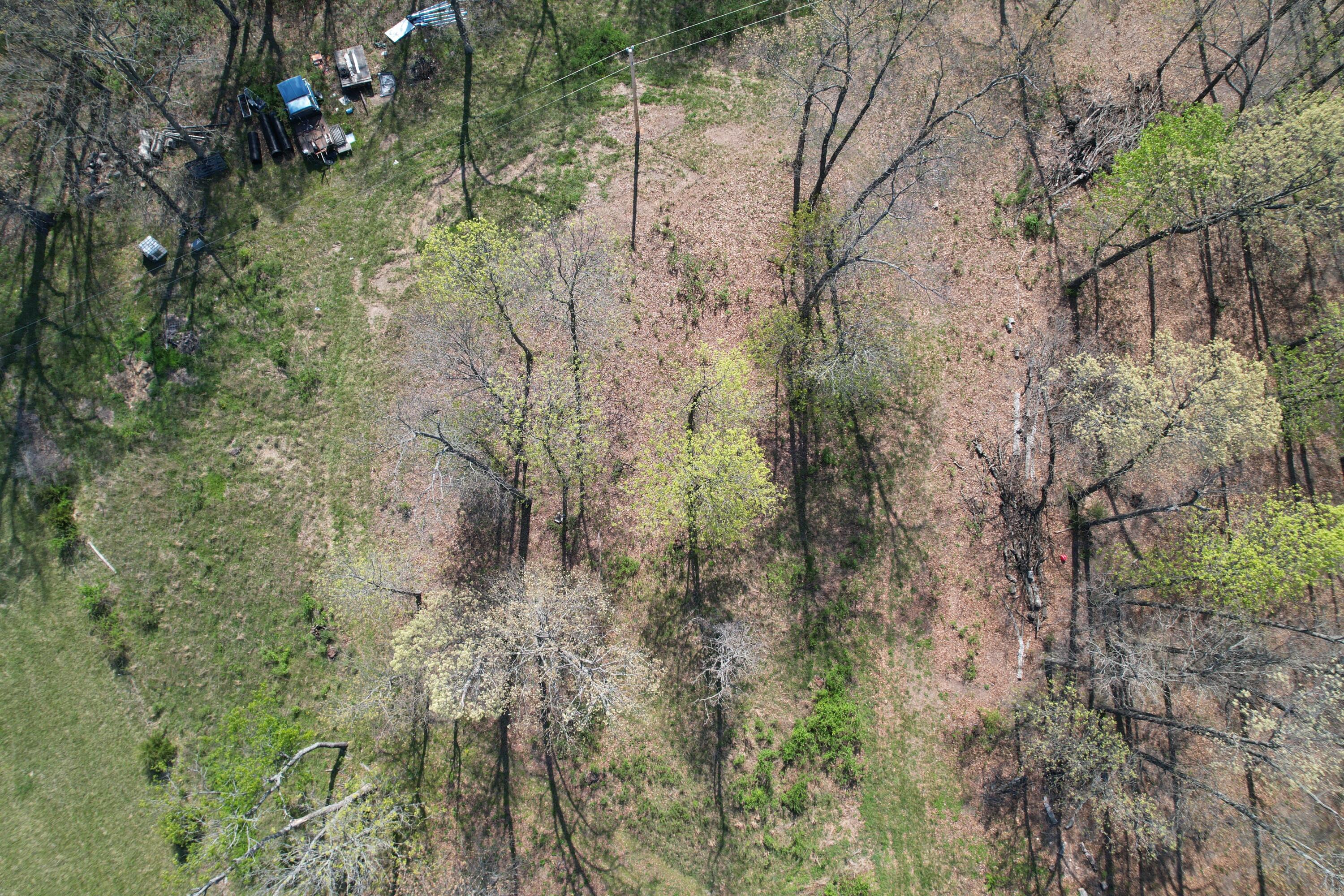 Photo 14 - Land for sale – Tract 4  0000 Private Road 1184   Aurora, MO