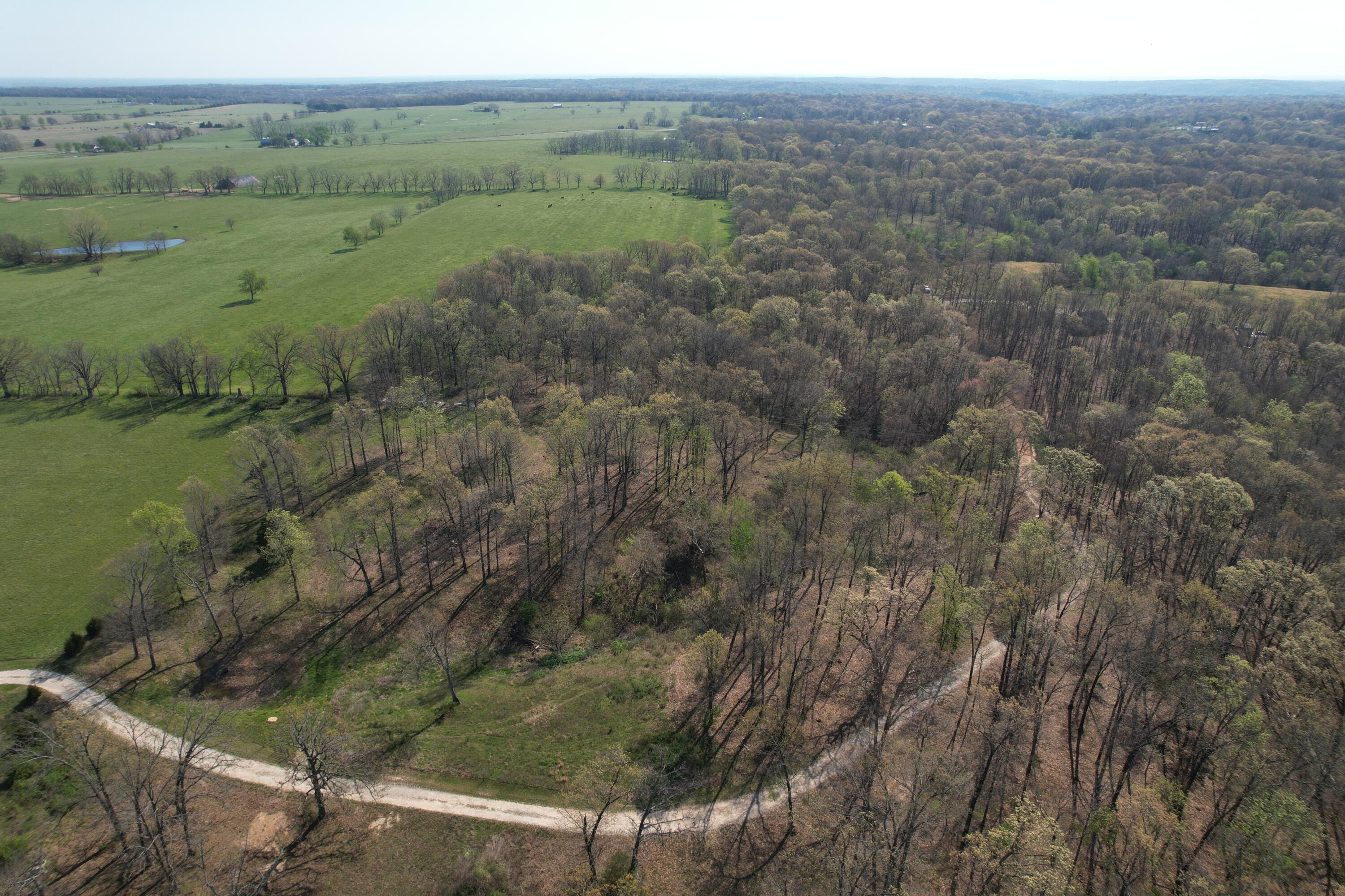 Photo 3 - Land for sale – Tract 4  0000 Private Road 1184   Aurora, MO