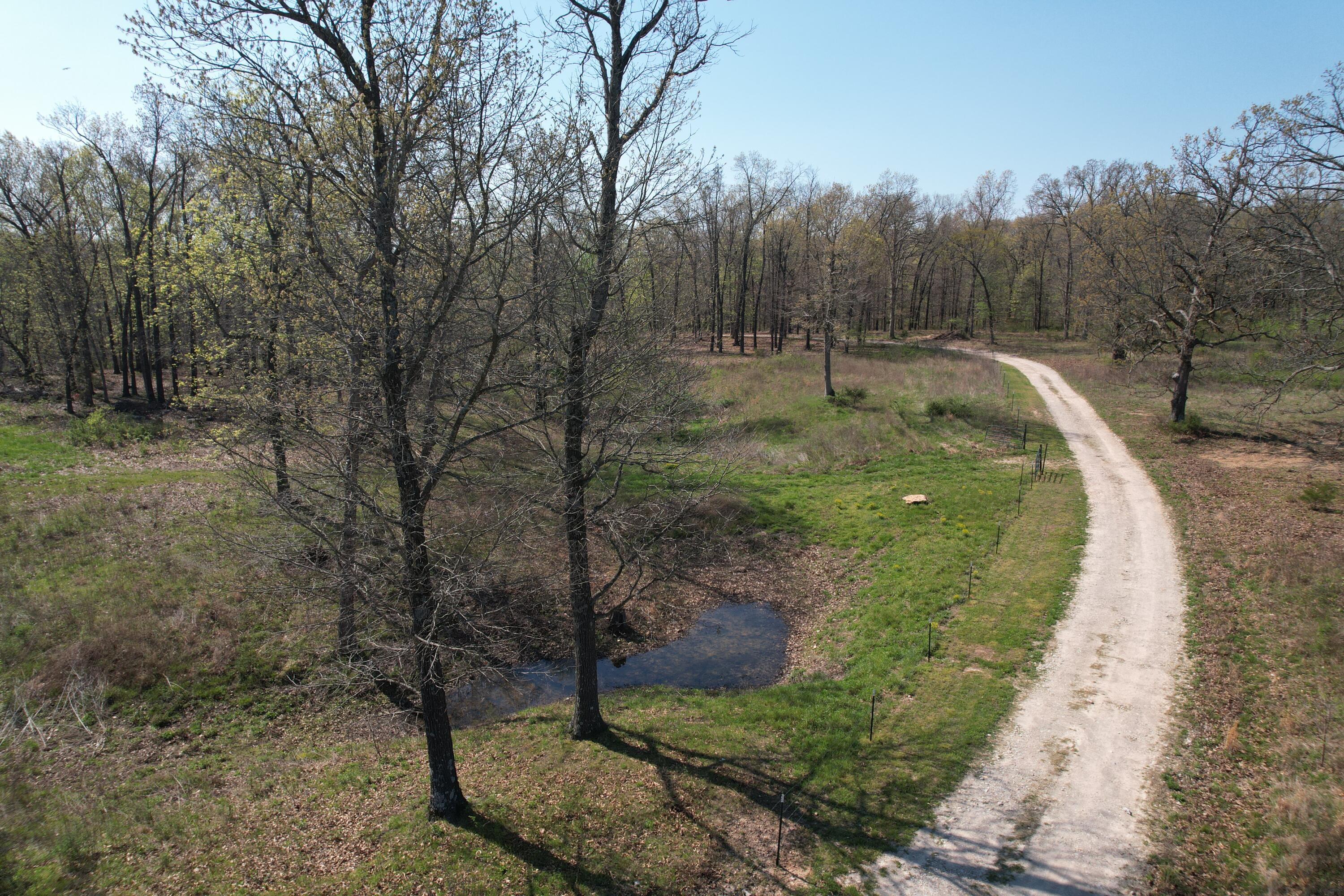 Photo 12 - Land for sale – Tract 4  0000 Private Road 1184   Aurora, MO