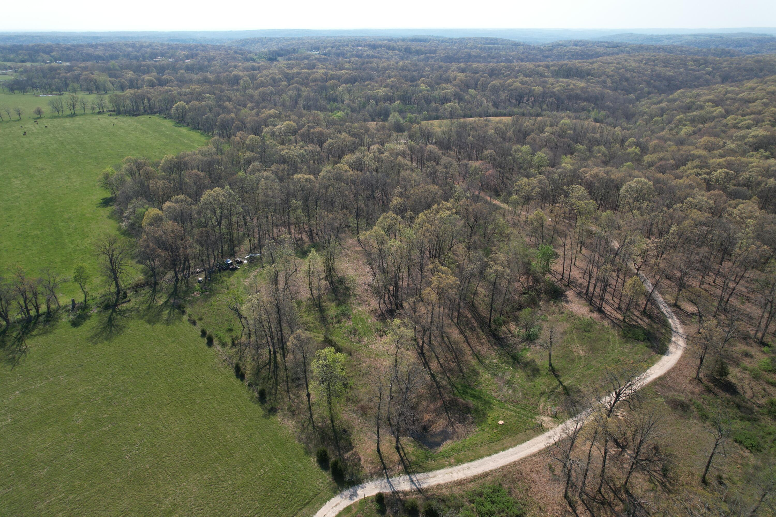Photo 4 - Land for sale – Tract 4  0000 Private Road 1184   Aurora, MO