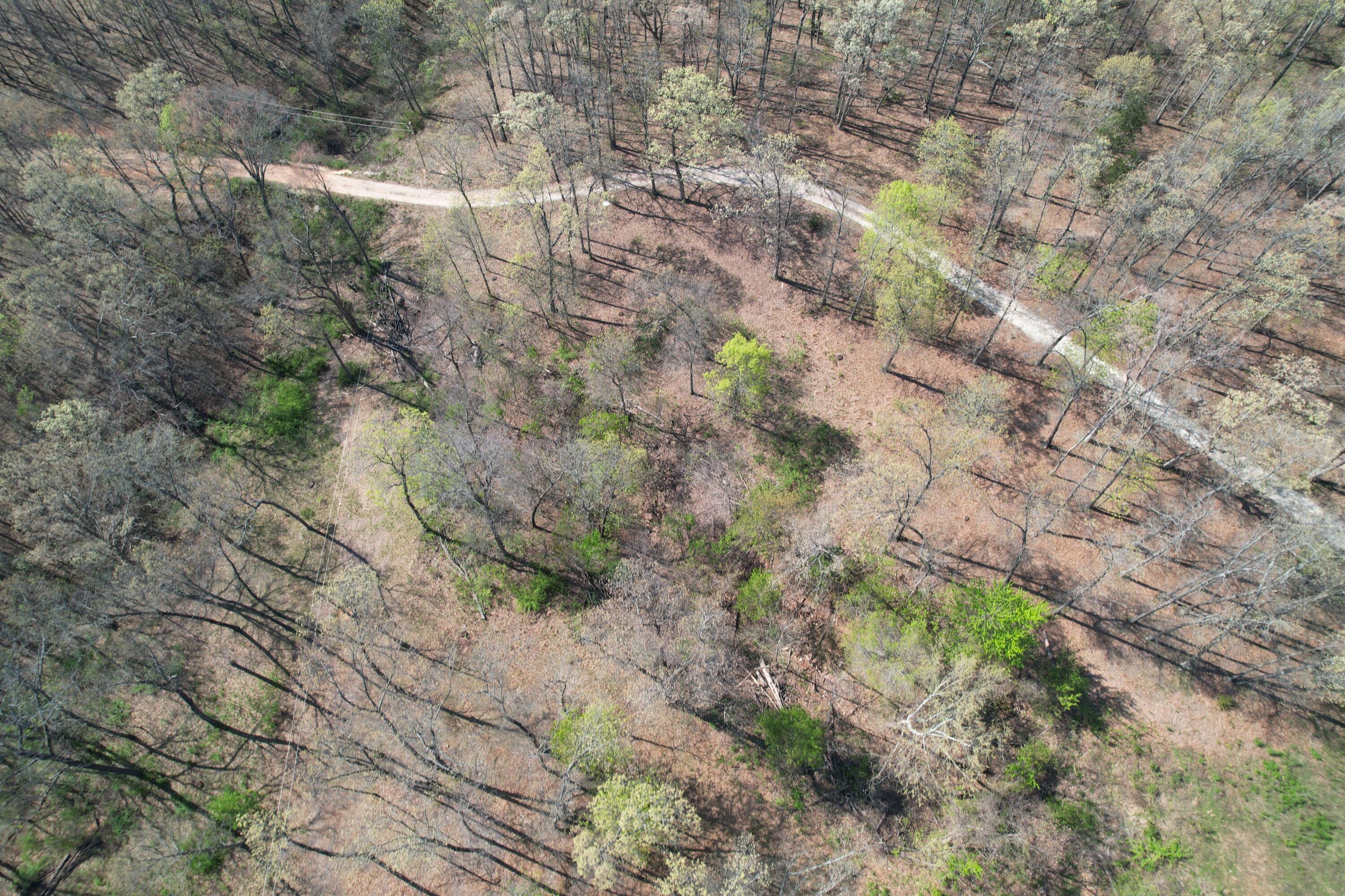 Photo 6 - Land for sale – Tract 4  0000 Private Road 1184   Aurora, MO