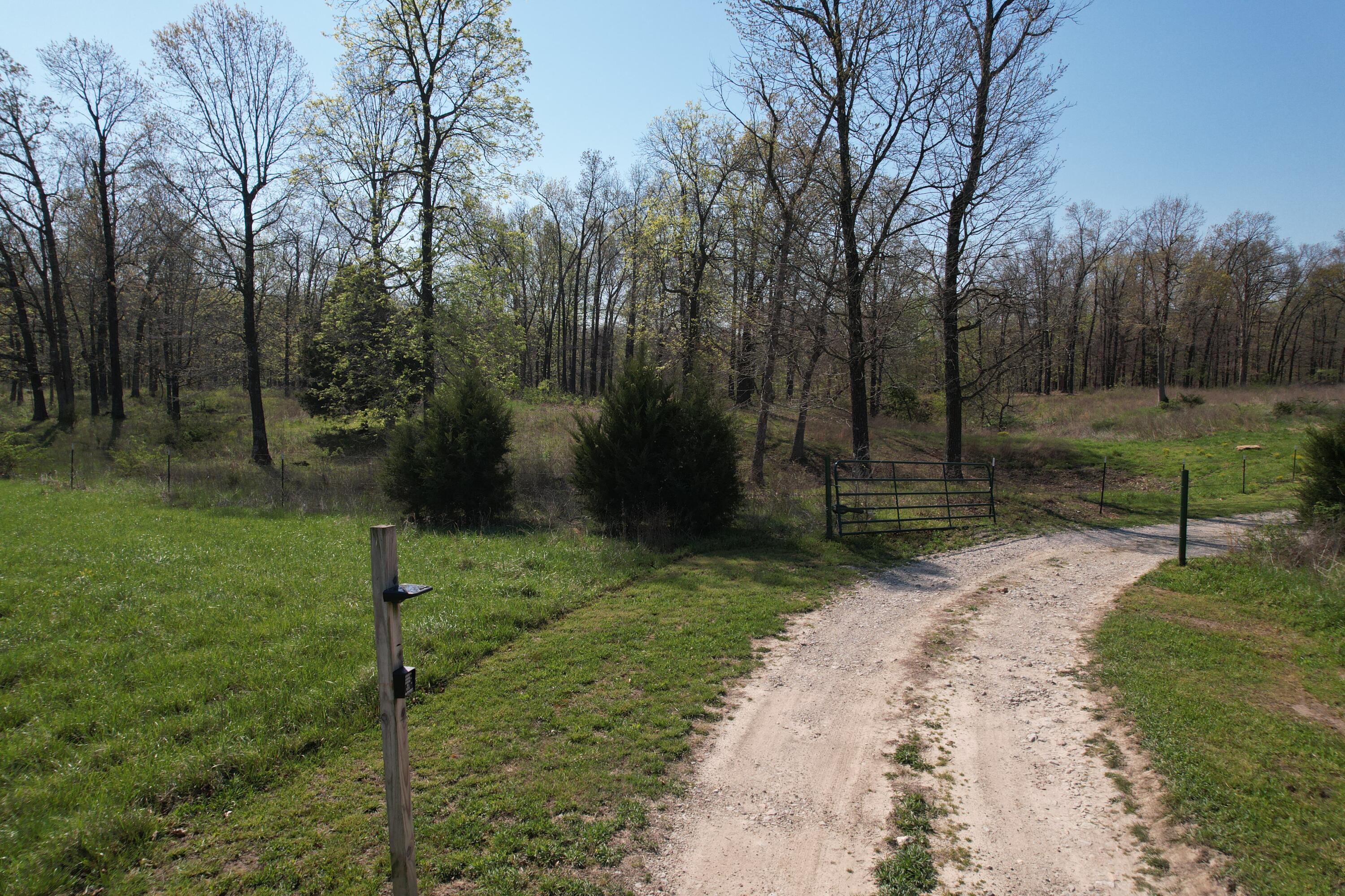 Photo 10 - Land for sale – Tract 4  0000 Private Road 1184   Aurora, MO