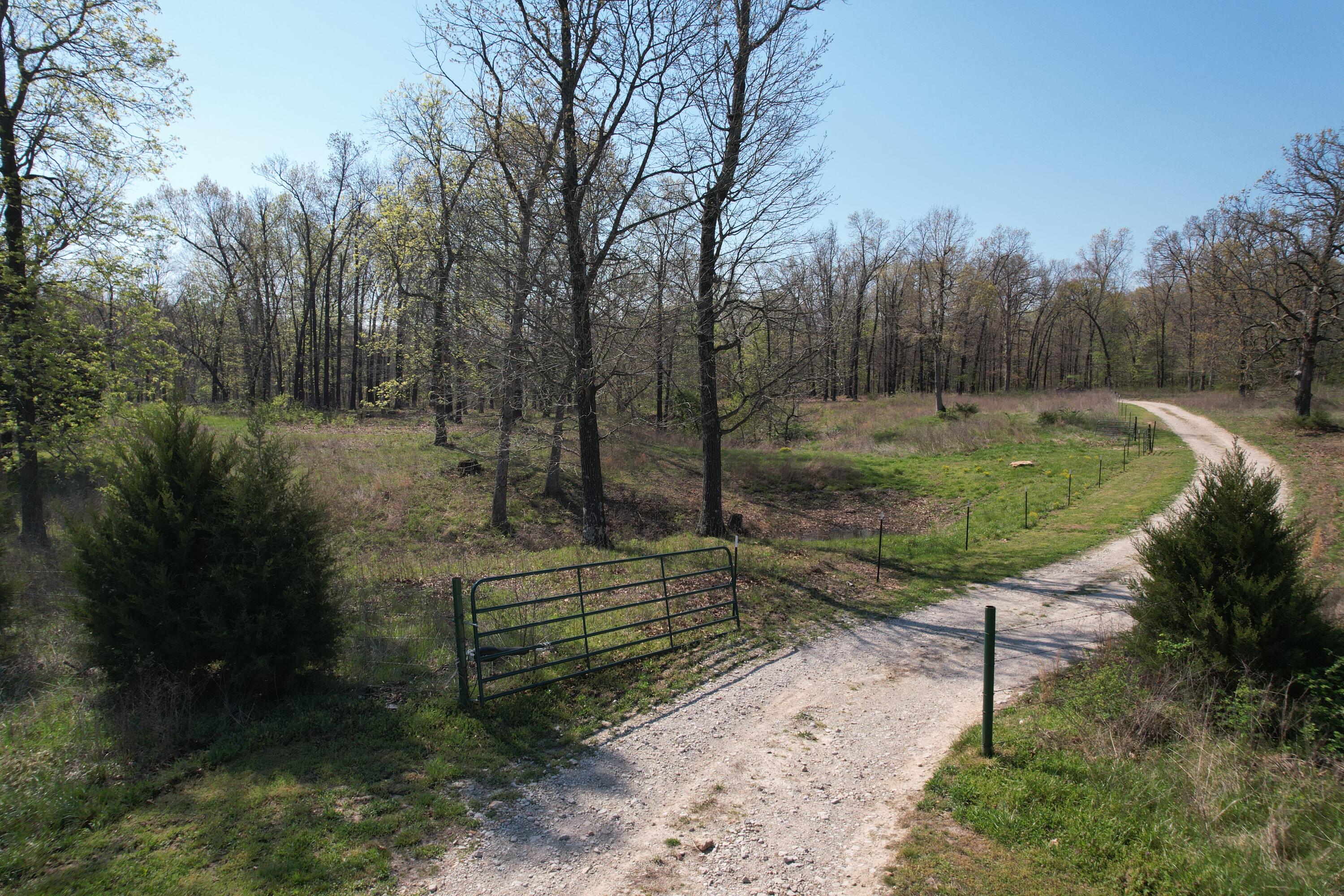 Photo 11 - Land for sale – Tract 4  0000 Private Road 1184   Aurora, MO