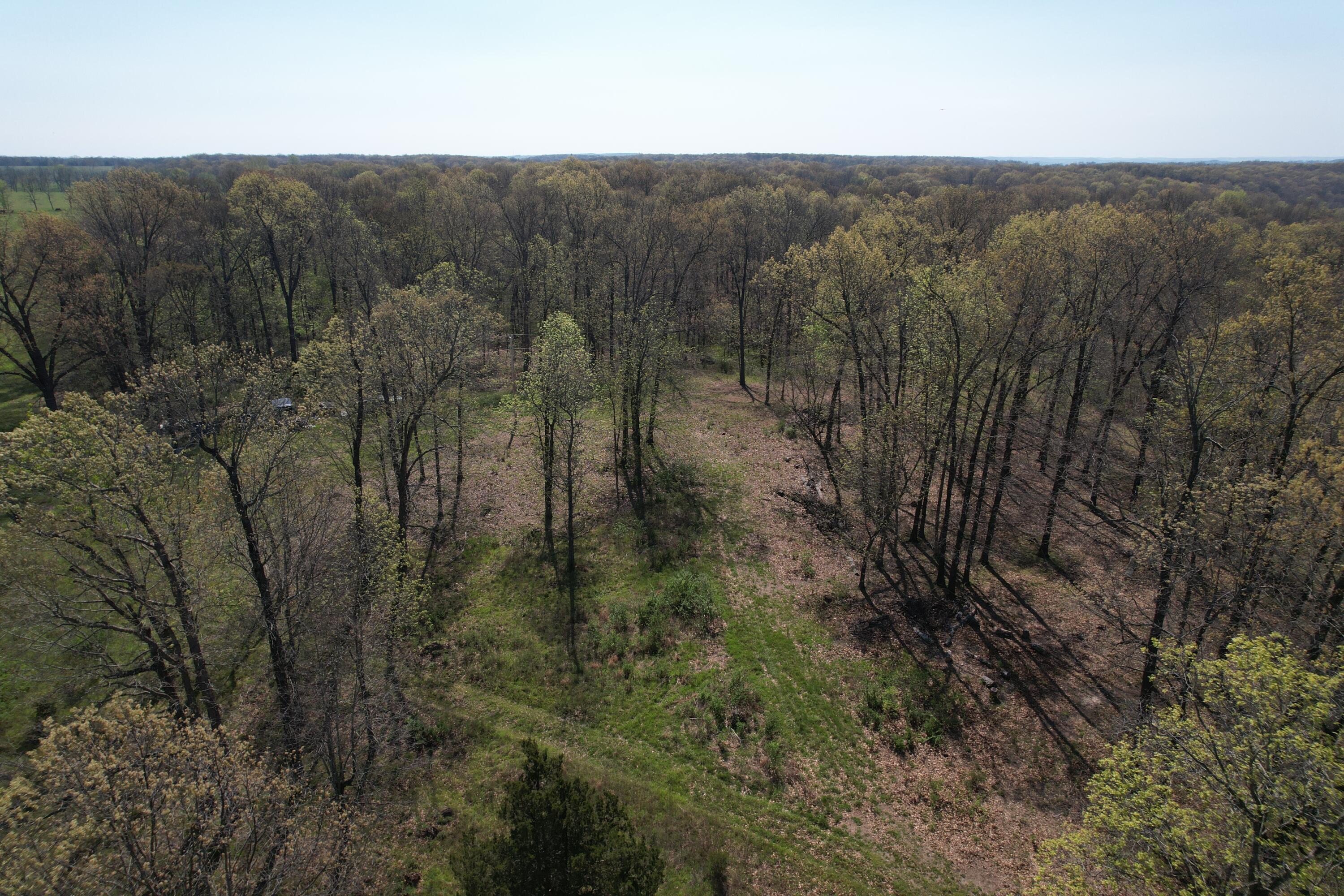 Photo 13 - Land for sale – Tract 4  0000 Private Road 1184   Aurora, MO
