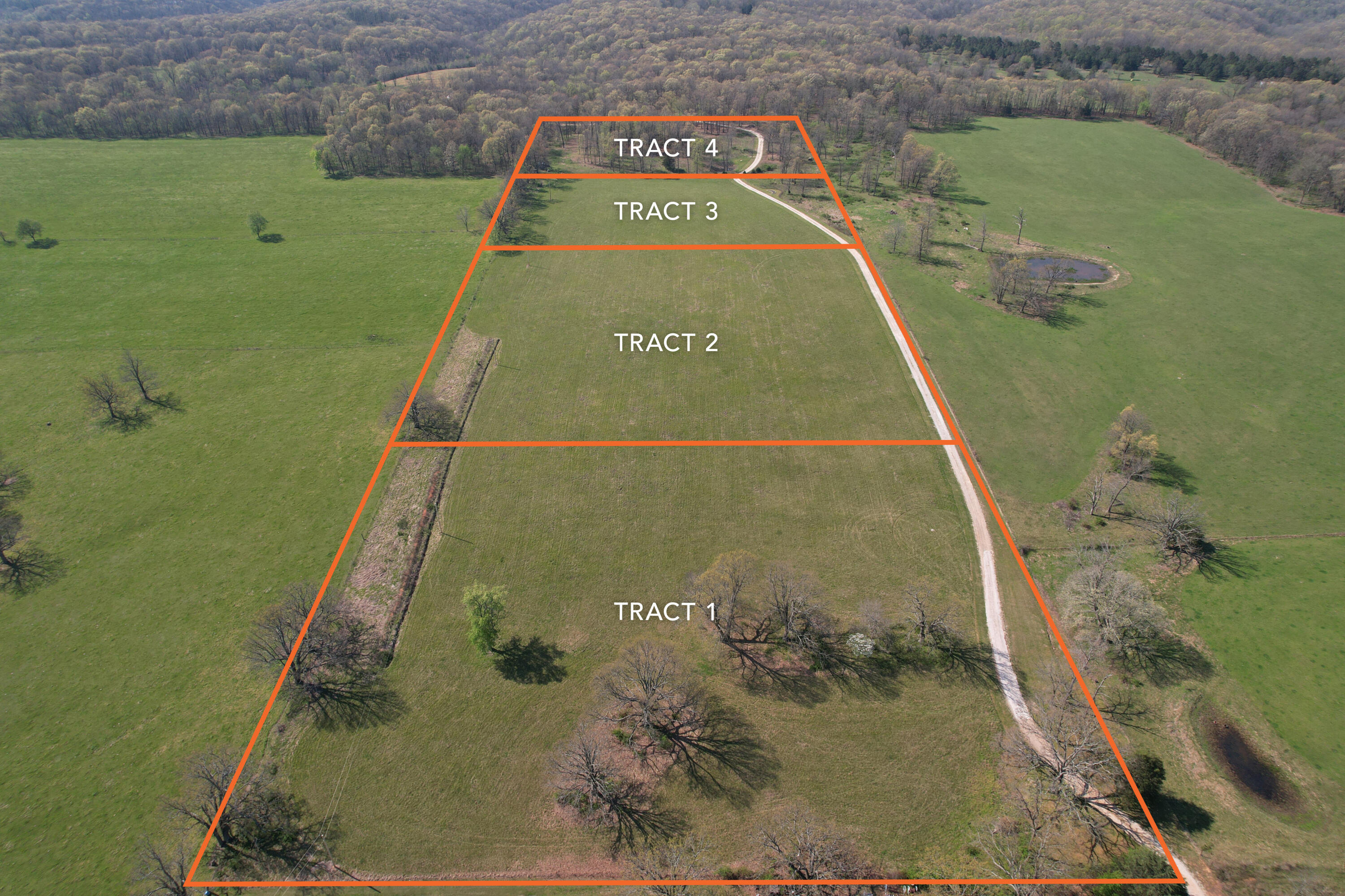 Photo 17 - Land for sale – Tract 4  0000 Private Road 1184   Aurora, MO