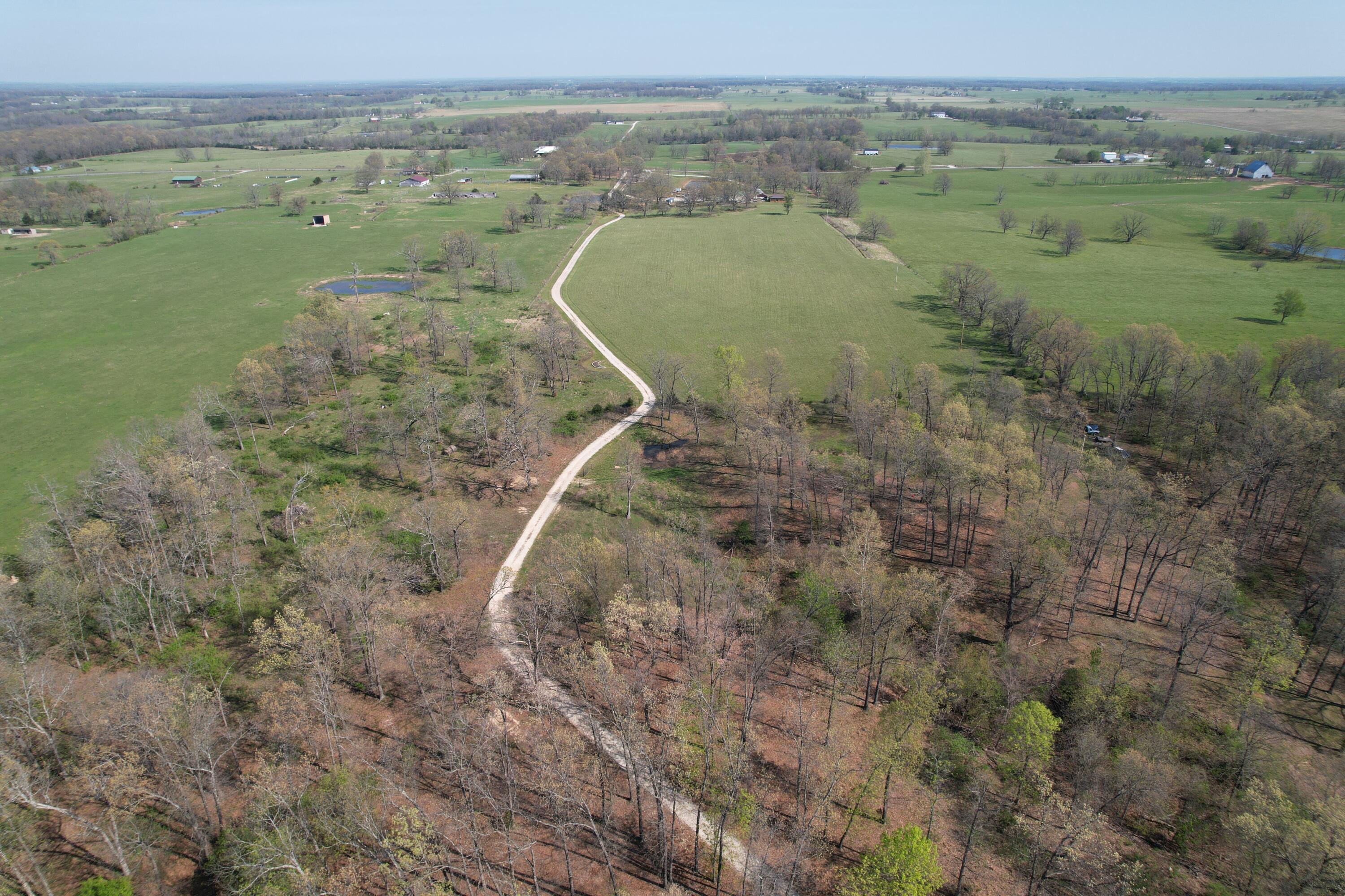 Photo 7 - Land for sale – Tract 4  0000 Private Road 1184   Aurora, MO