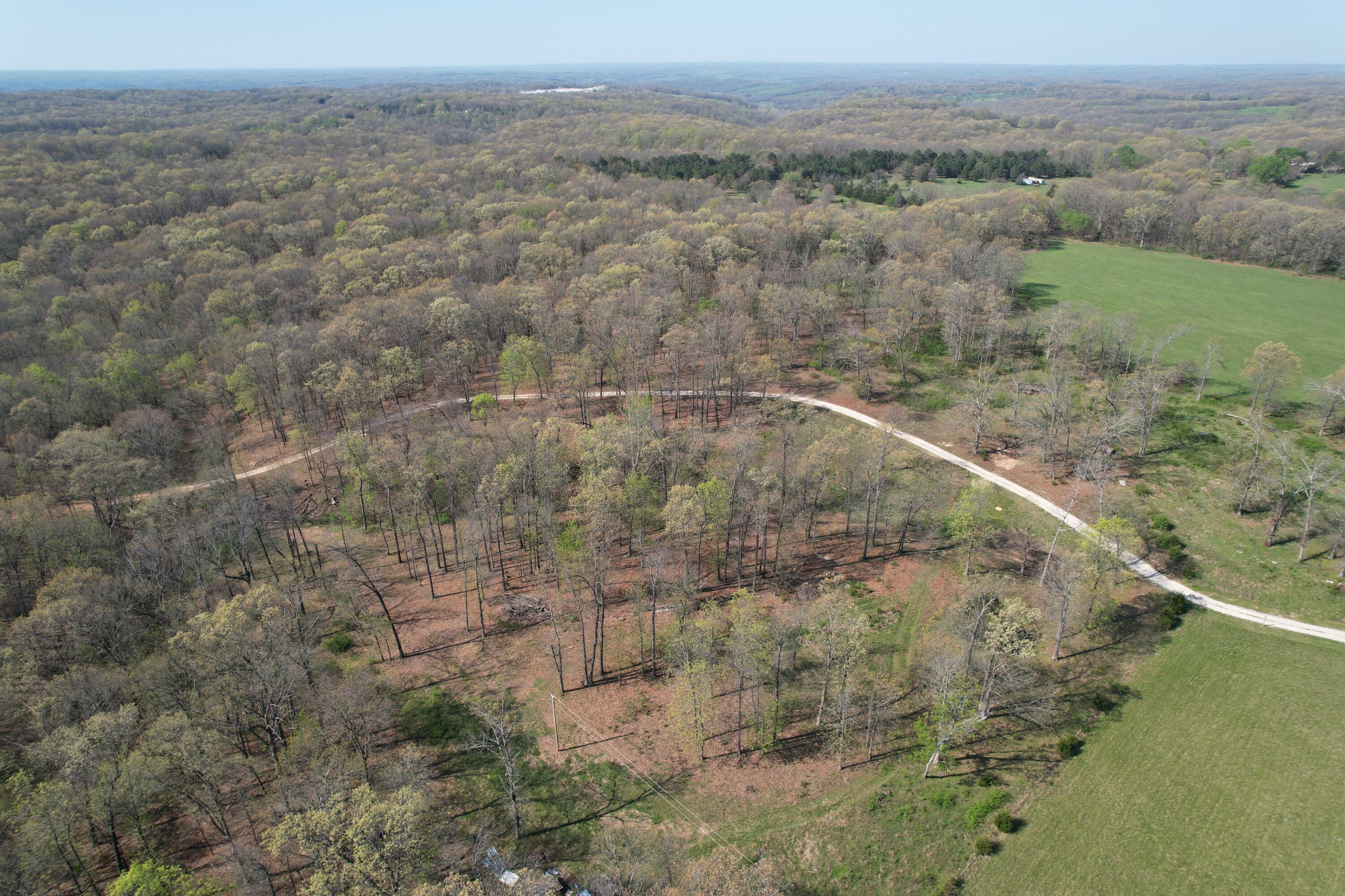 Photo 2 - Land for sale – Tract 4  0000 Private Road 1184   Aurora, MO