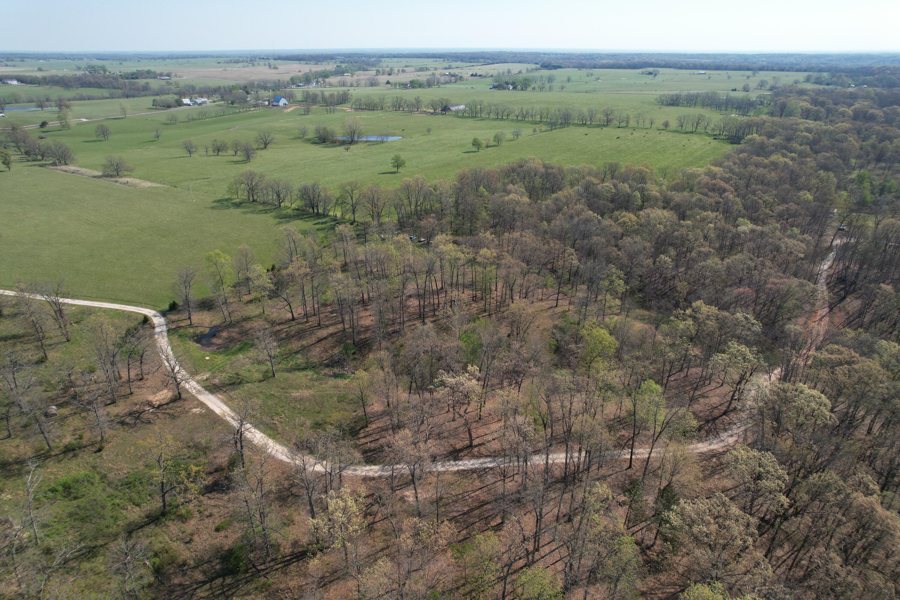 Photo 8 - Land for sale – Tract 4  0000 Private Road 1184   Aurora, MO