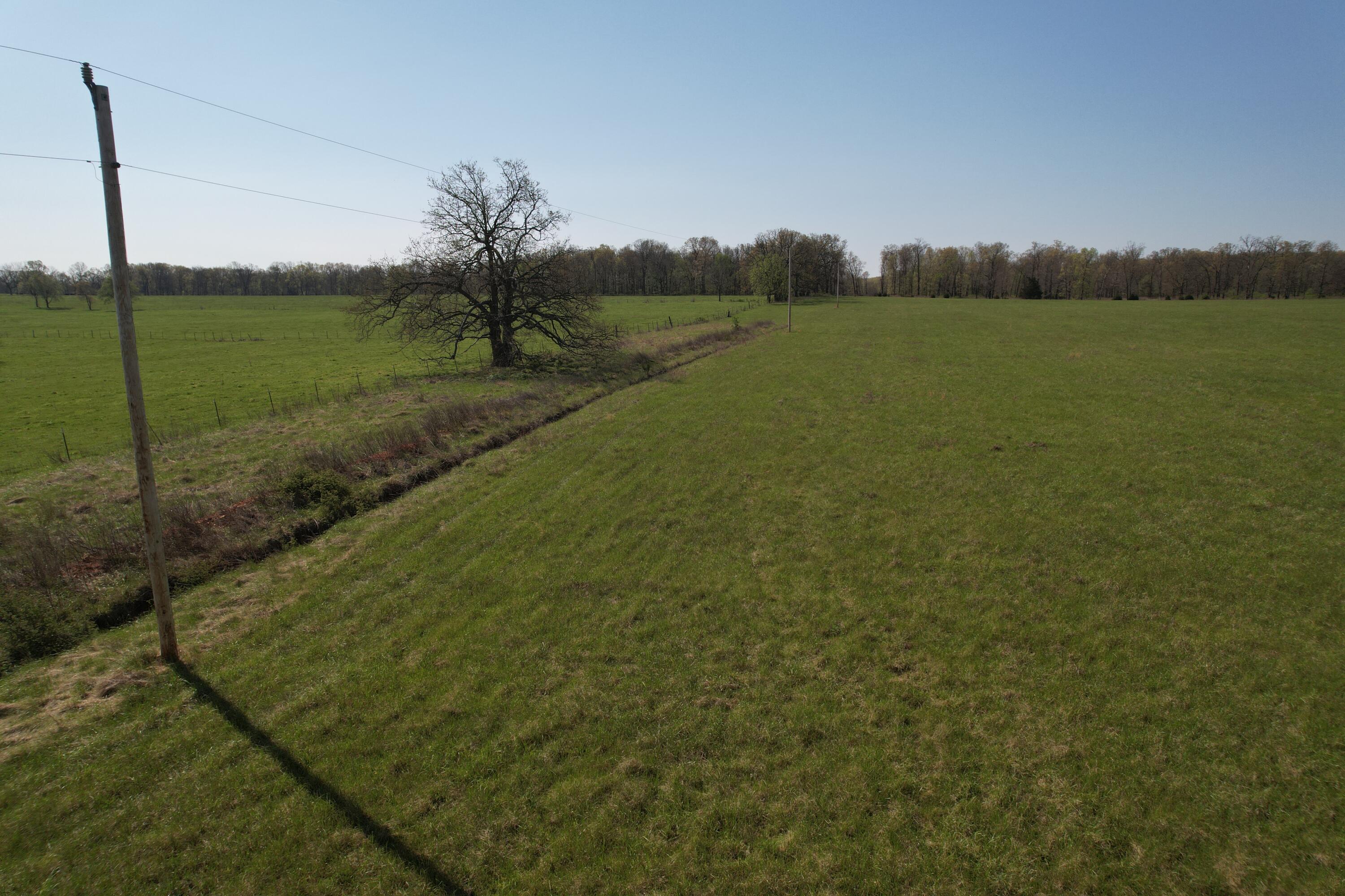 Photo 9 - Land for sale – Tract 4  0000 Private Road 1184   Aurora, MO