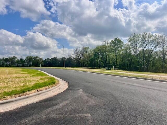 Photo 4 - Land for sale – Lot 19  Anthony Park 6th Addition   Springfield, MO