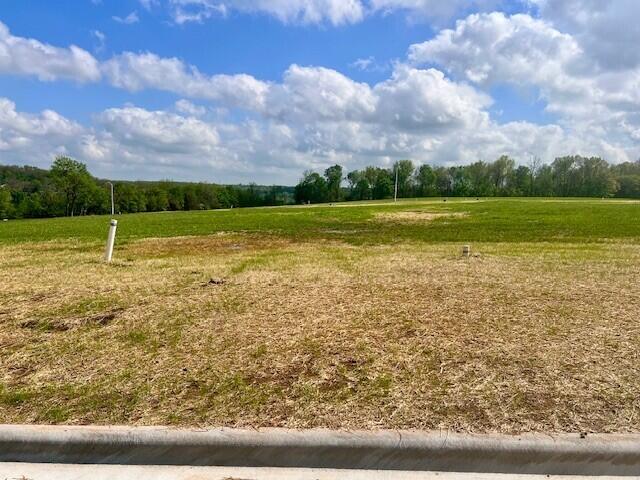 Photo 3 - Land for sale – Lot 22  Anthony Park 6th Addition   Springfield, MO