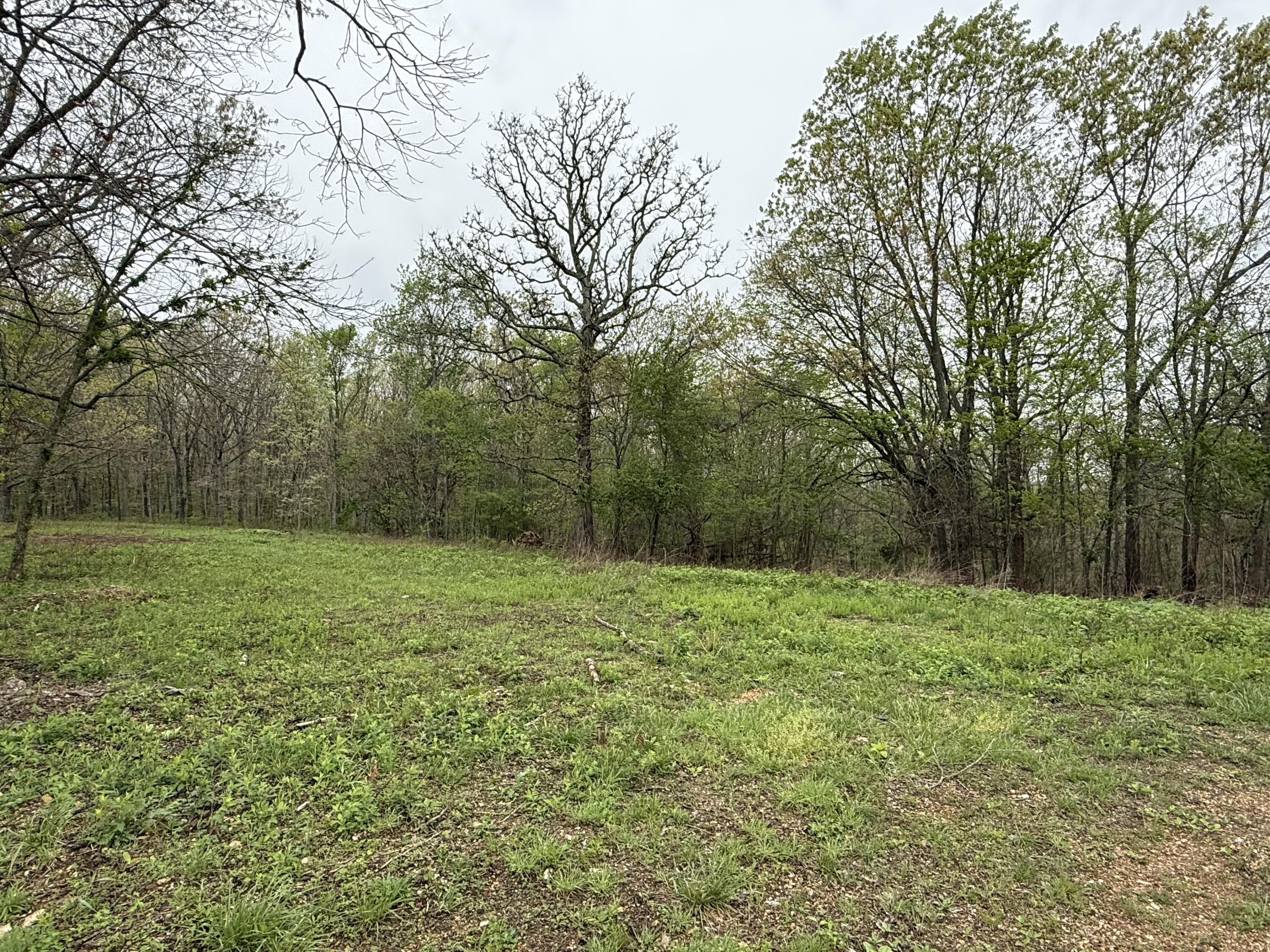 Photo 49 - Residential for sale – 12205  Weber Road  Plato, MO
