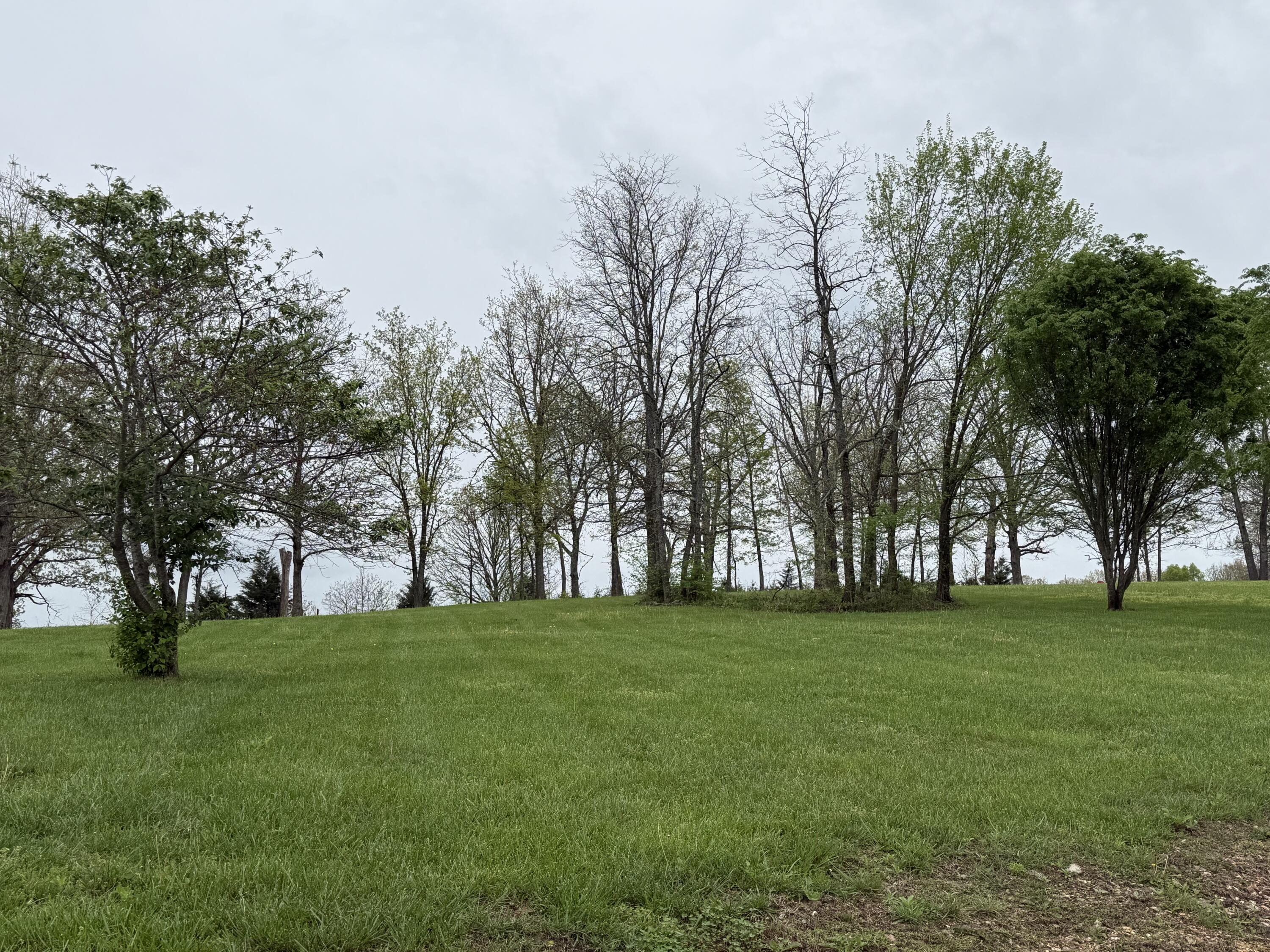 Photo 63 - Residential for sale – 12205  Weber Road  Plato, MO
