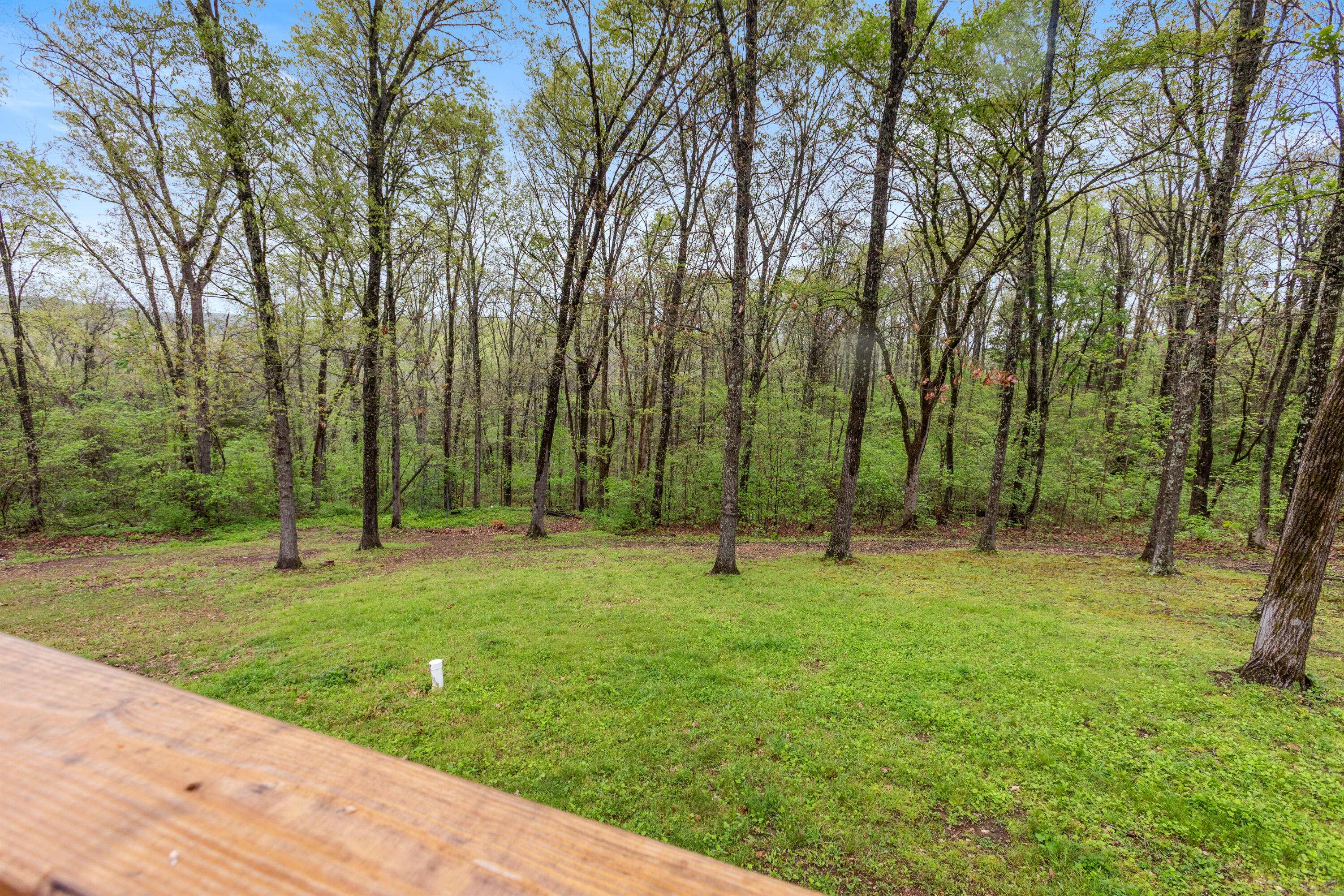 Photo 30 - Residential for sale – 250  Little Road Lane  Reeds Spring, MO