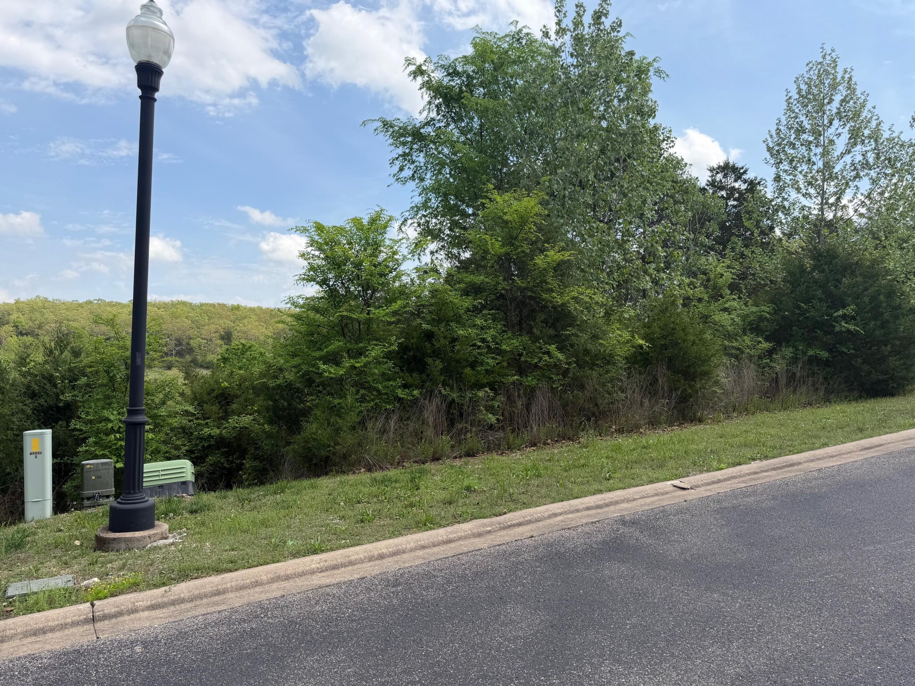 Photo 5 - Land for sale – 198  Royal Dornoch Drive  Branson, MO