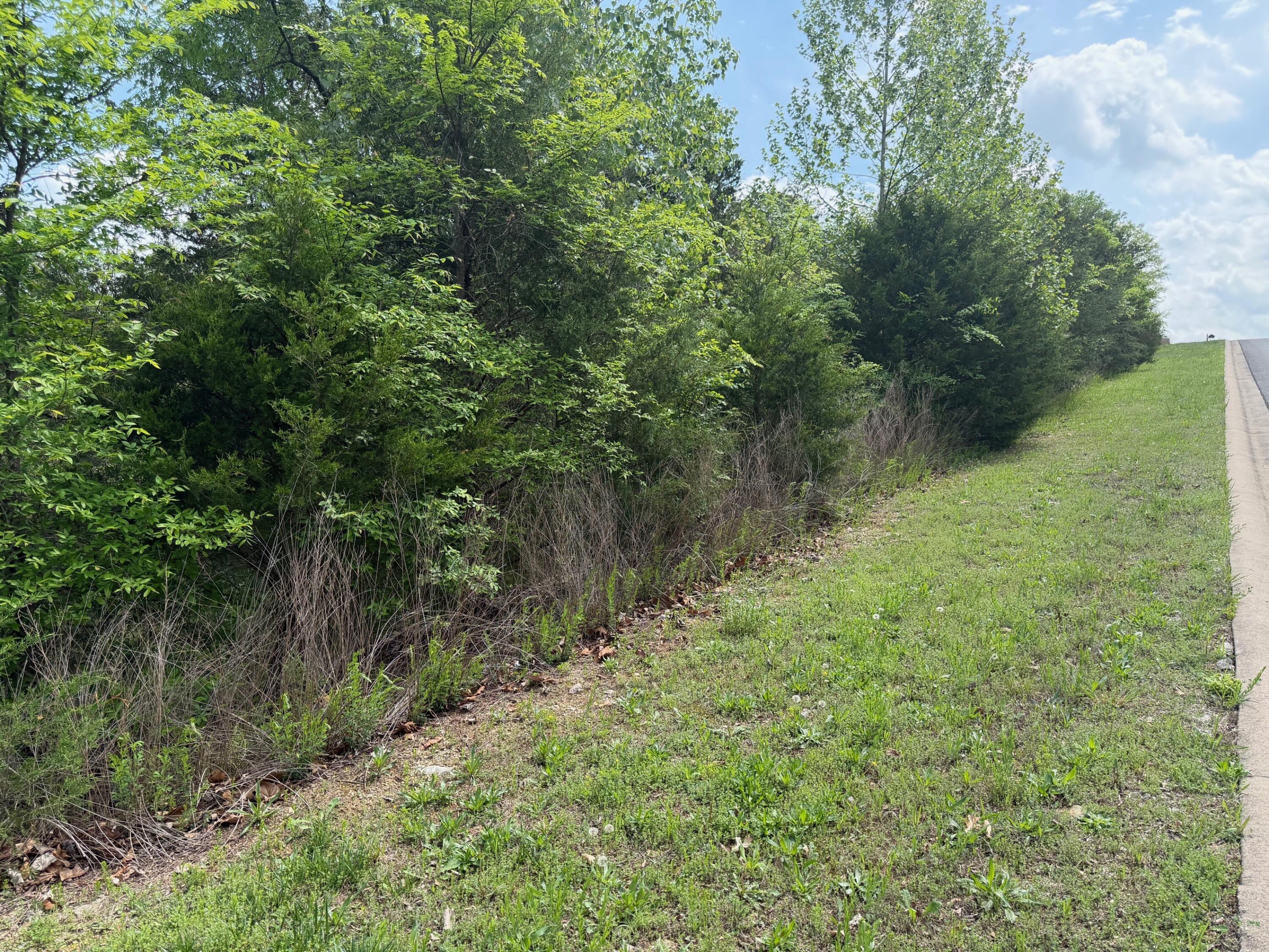 Photo 6 - Land for sale – 198  Royal Dornoch Drive  Branson, MO