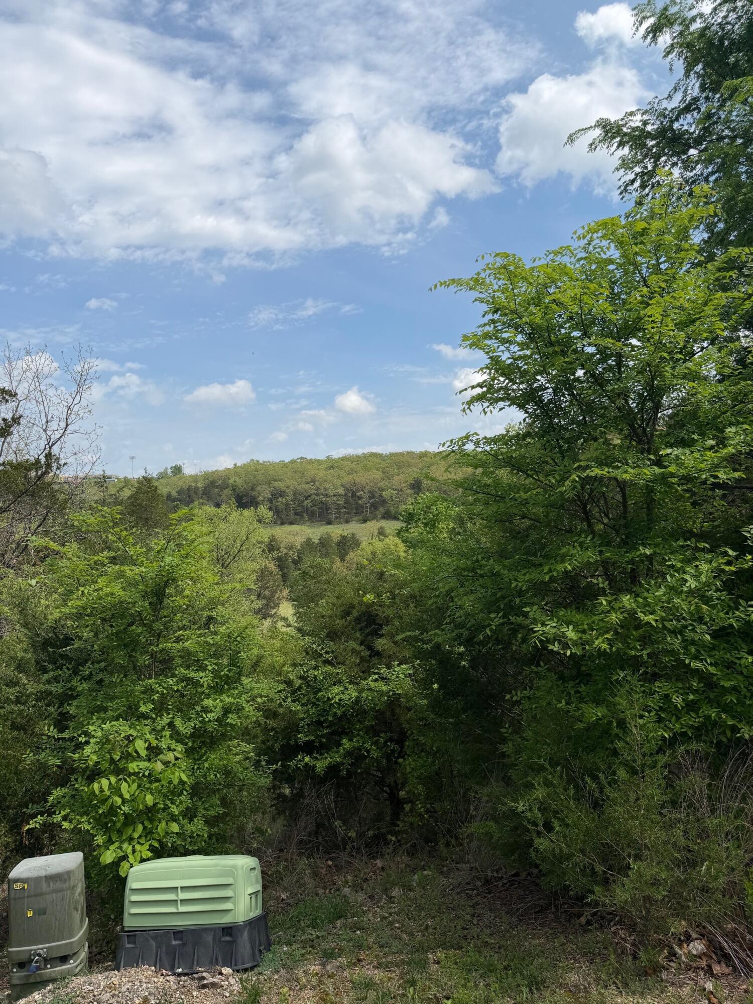 Photo 7 - Land for sale – 198  Royal Dornoch Drive  Branson, MO