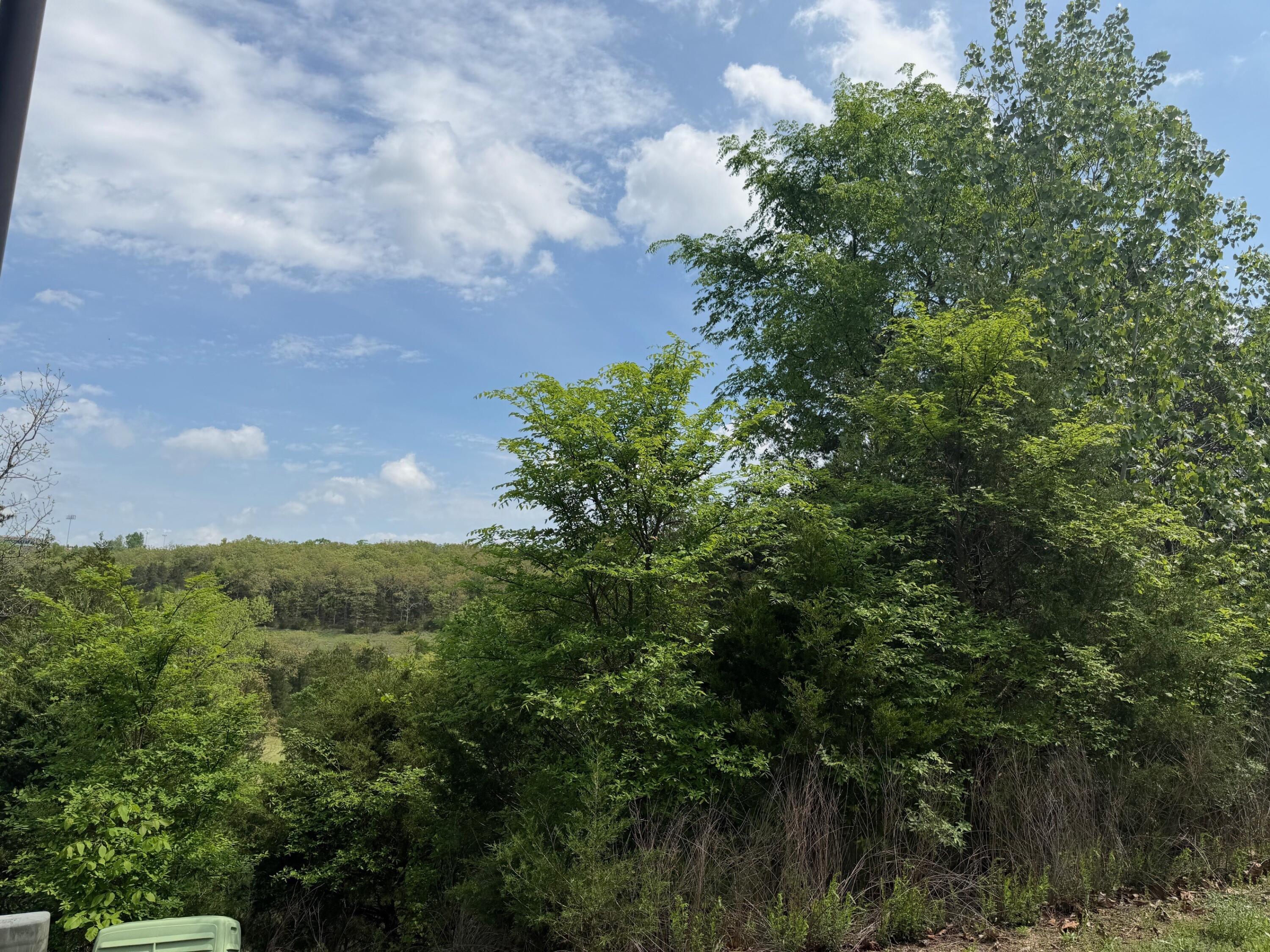 Photo 8 - Land for sale – 198  Royal Dornoch Drive  Branson, MO