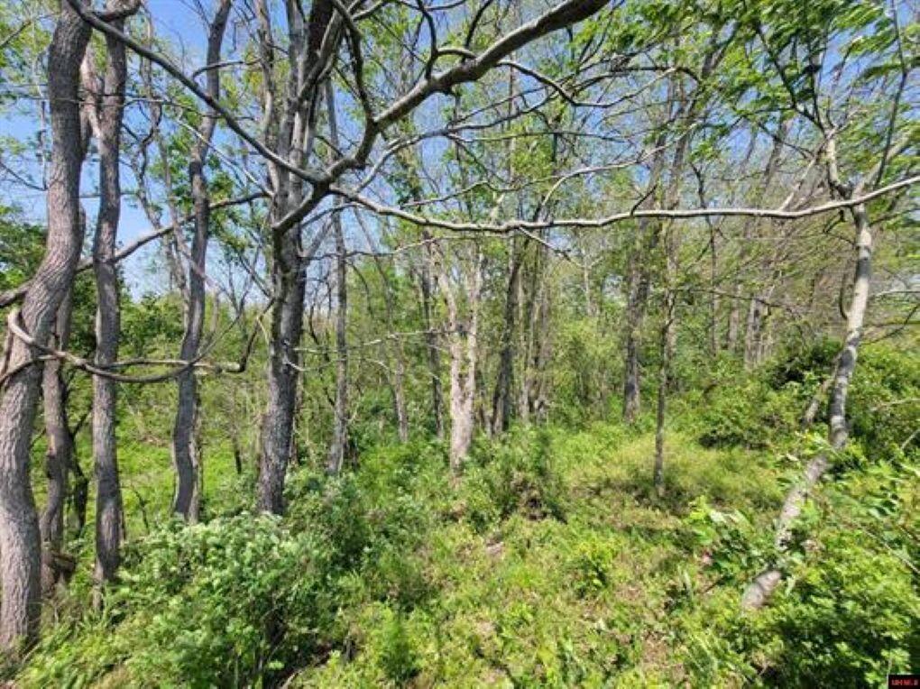 Photo 38 - Residential for sale – 359  County Road 138   Wasola, MO