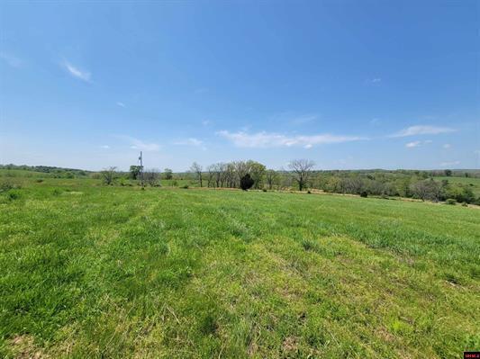 Photo 39 - Residential for sale – 359  County Road 138   Wasola, MO